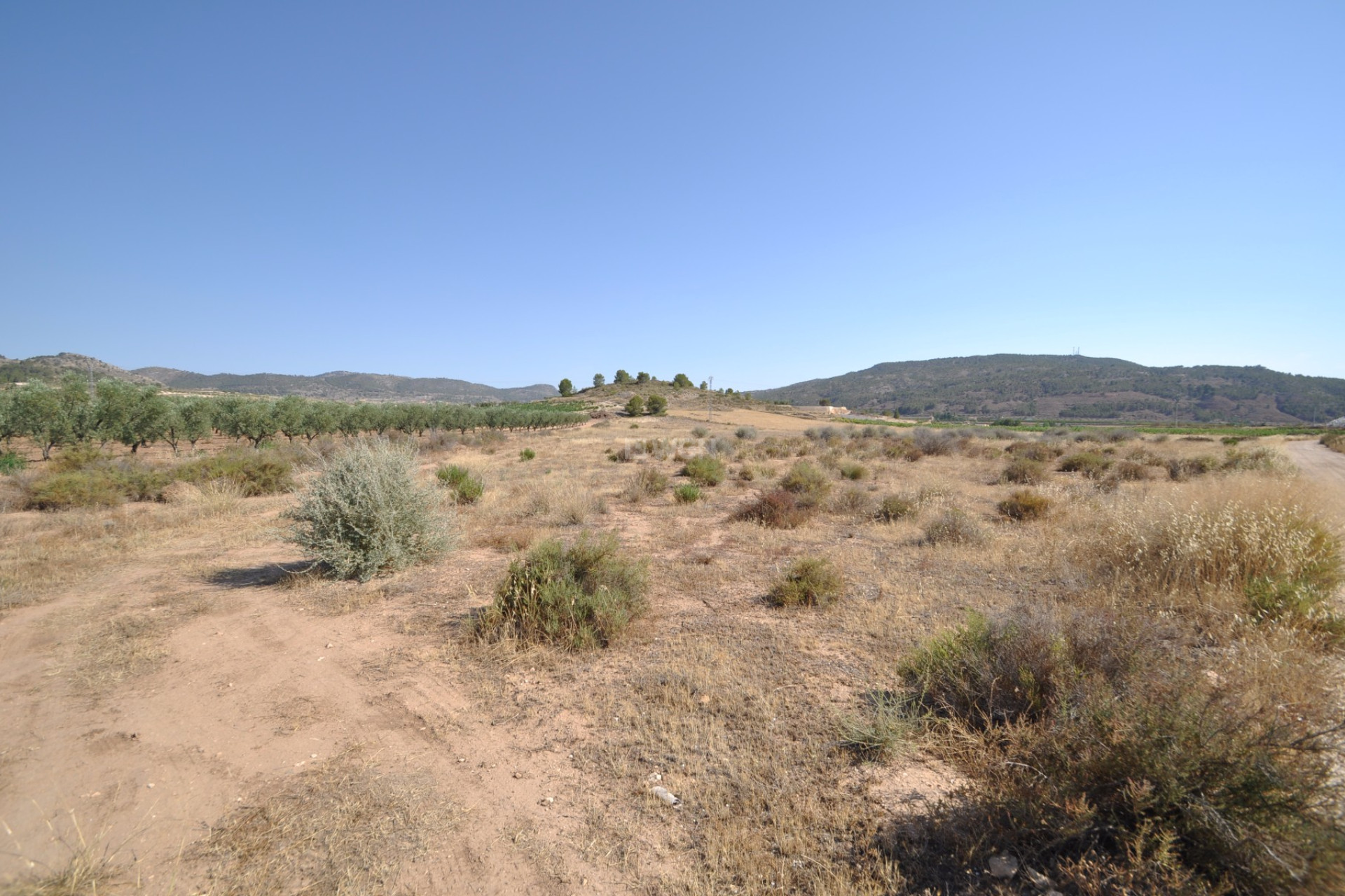 Resale - Plot / Land - Pinoso - Inland