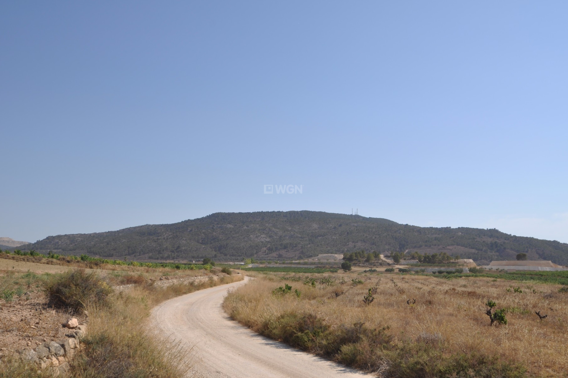 Resale - Plot / Land - Pinoso - Inland