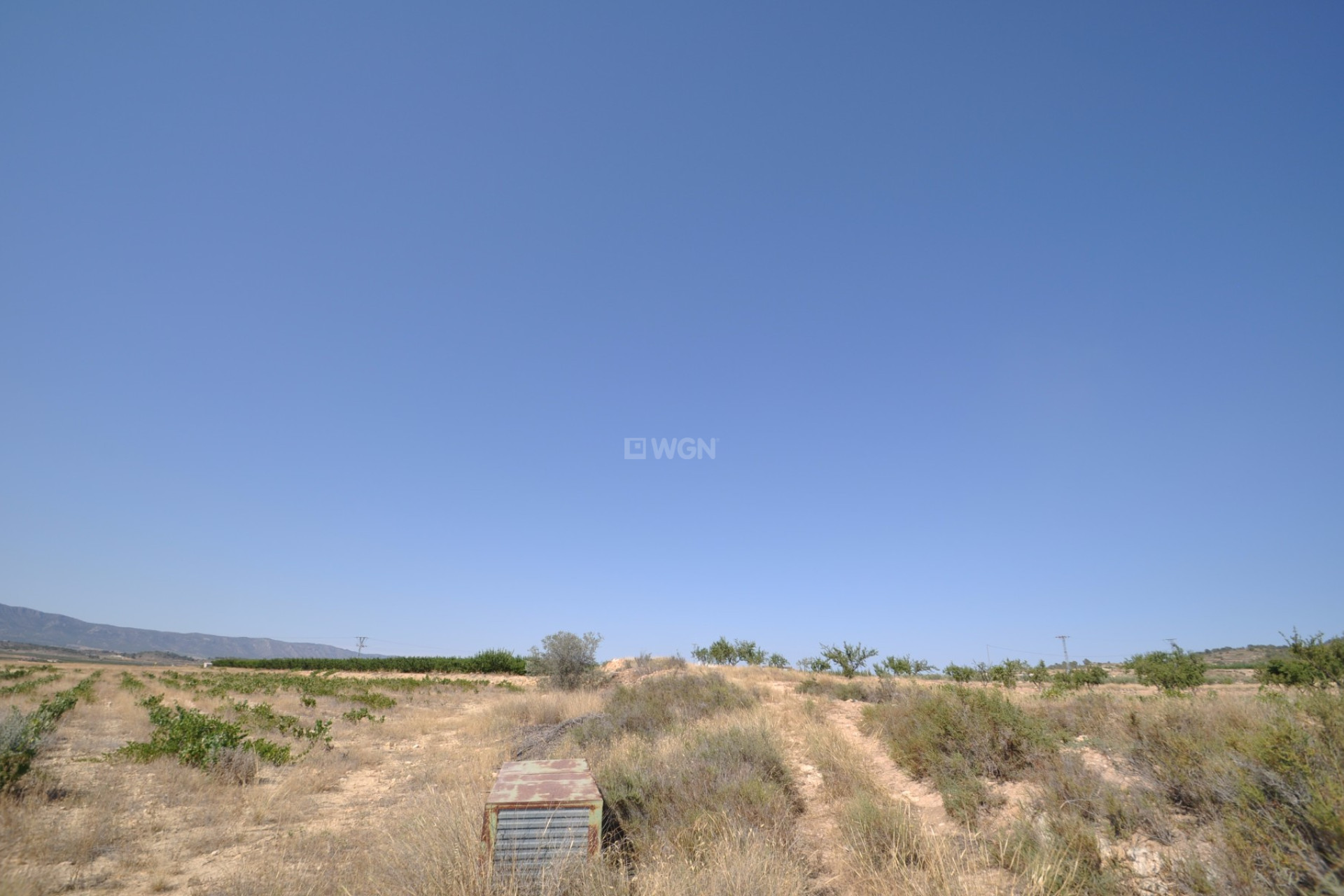 Resale - Plot / Land - Pinoso - Inland