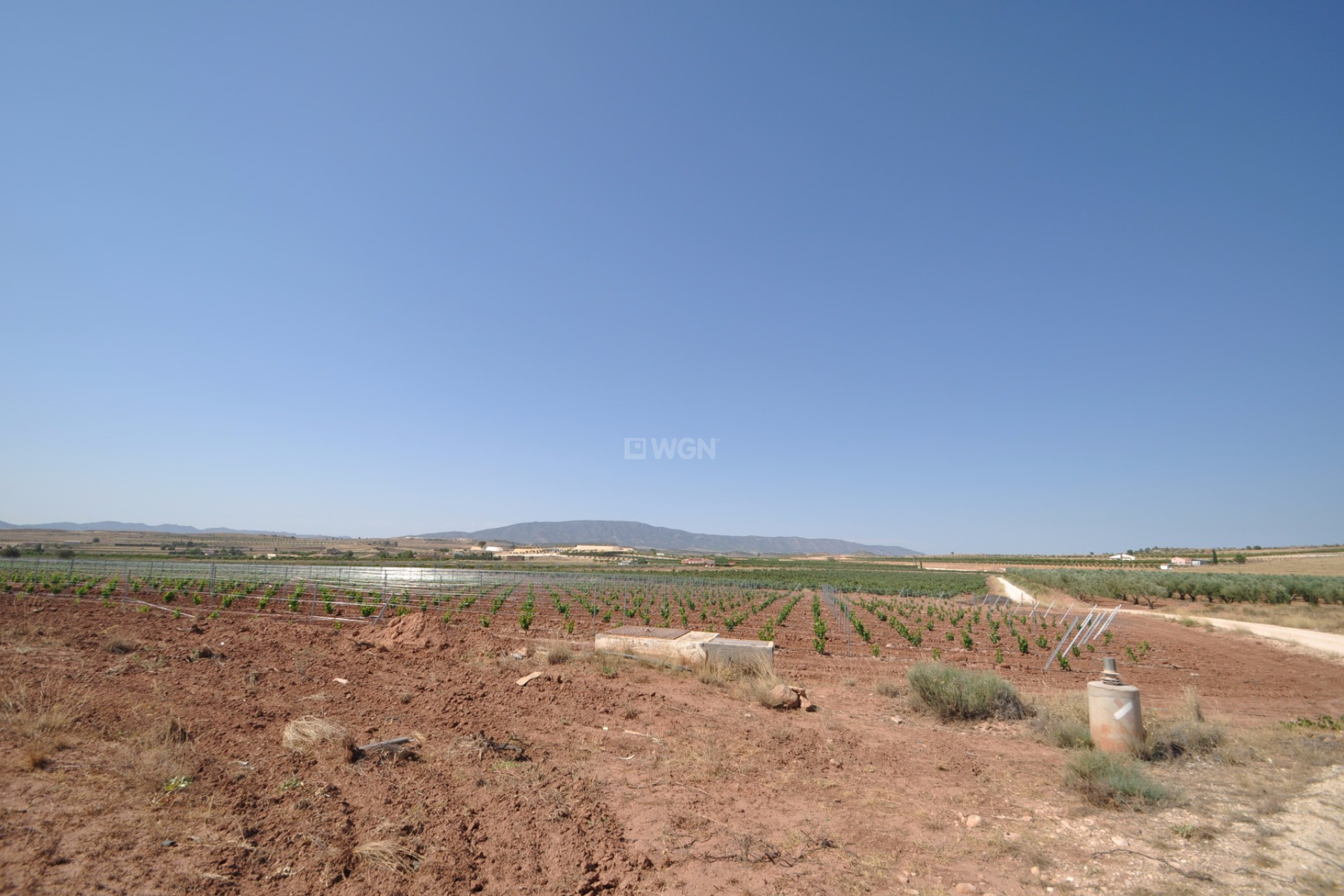 Resale - Plot / Land - Pinoso - Inland
