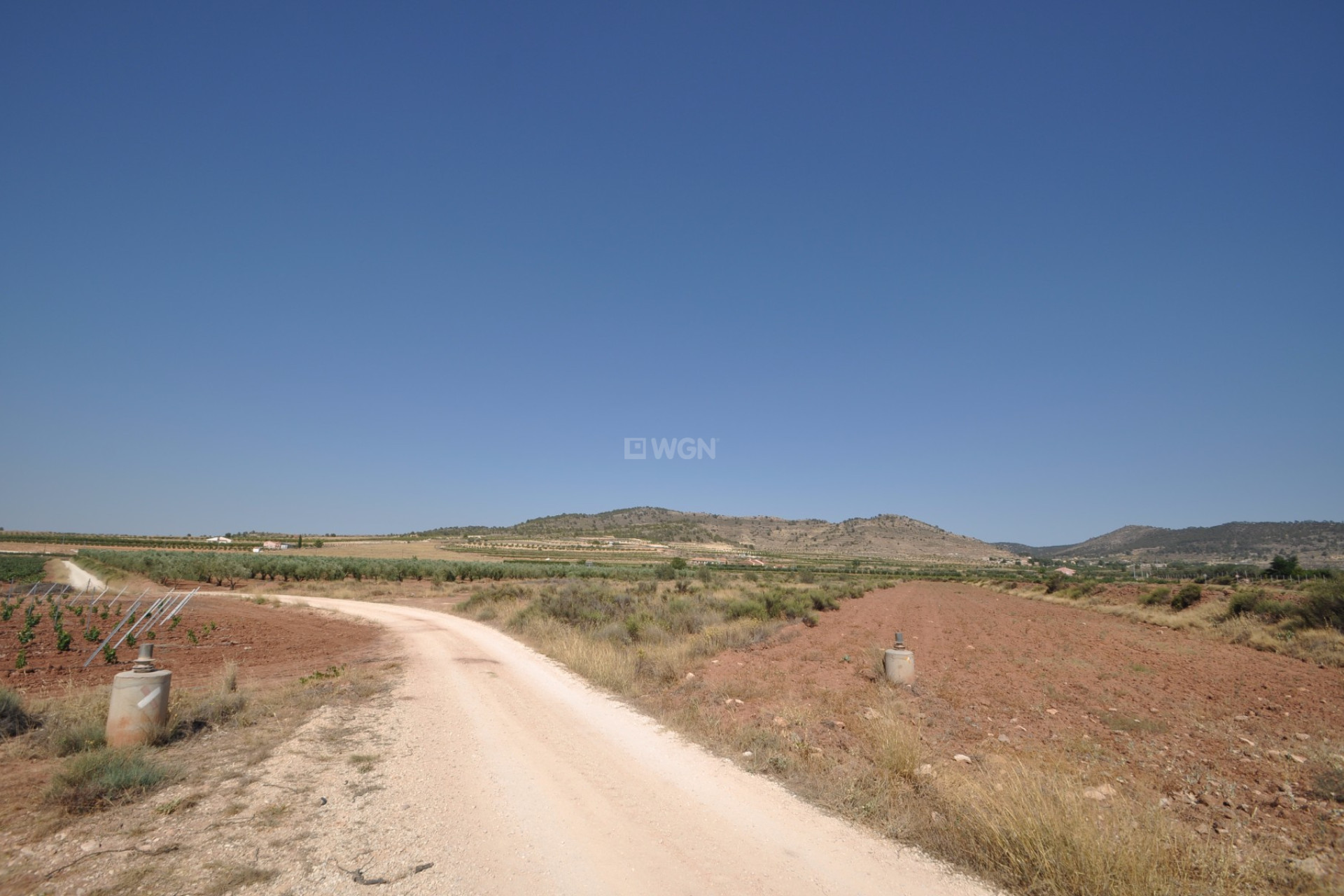 Resale - Plot / Land - Pinoso - Inland