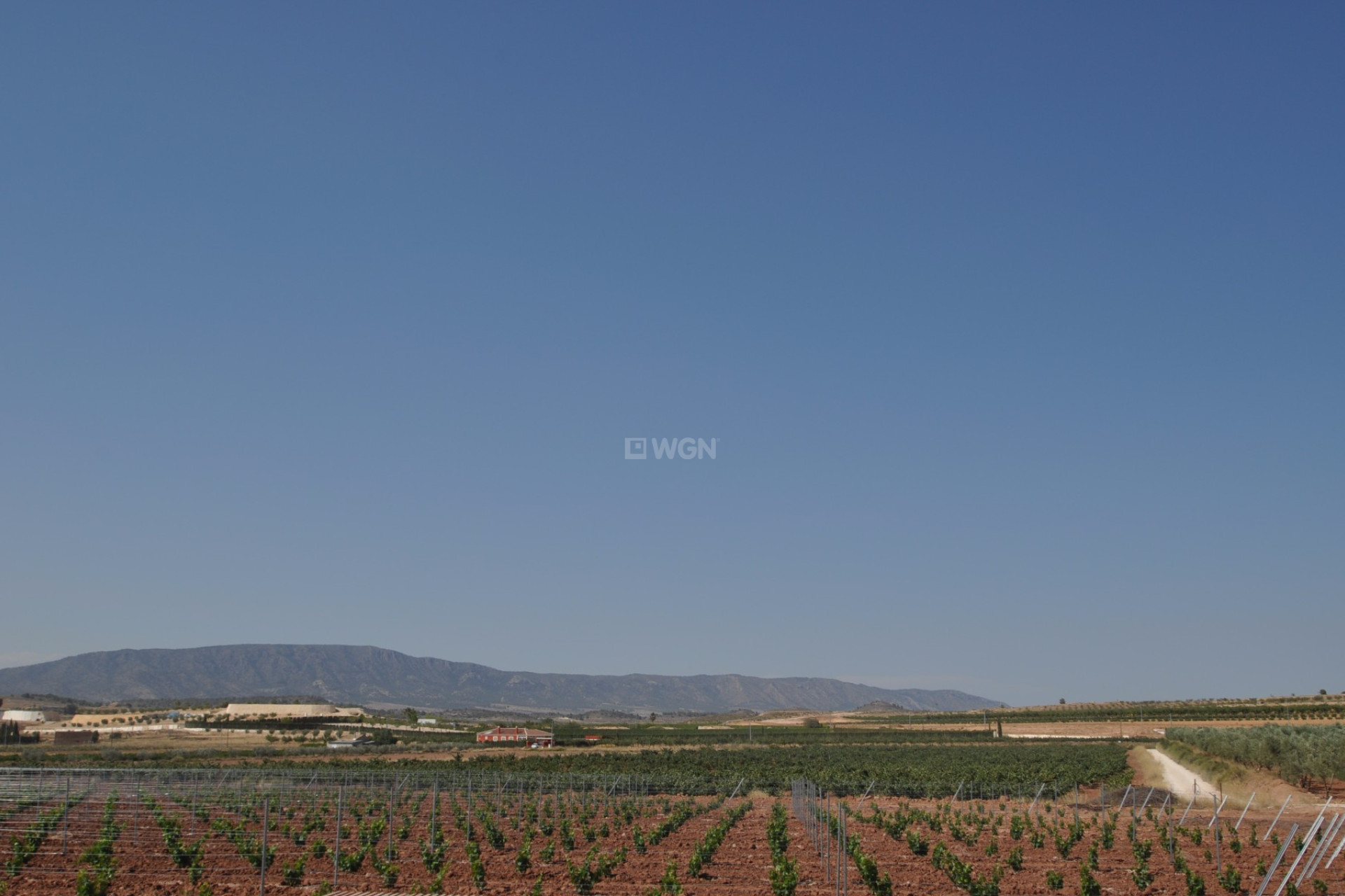 Resale - Plot / Land - Pinoso - Inland