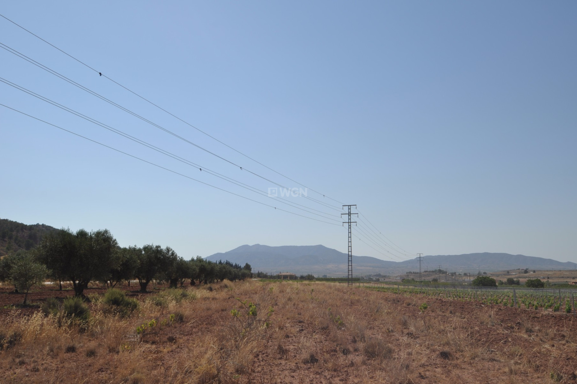 Resale - Plot / Land - Pinoso - Inland