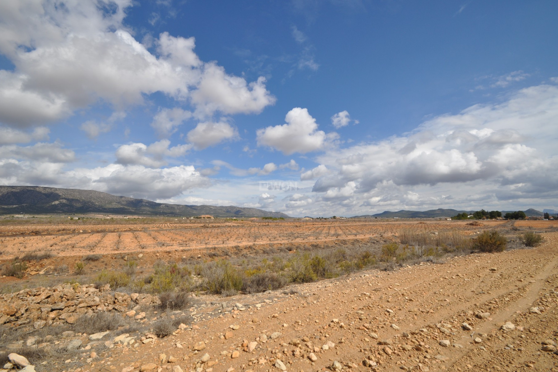 Resale - Plot / Land - Pinoso - Inland