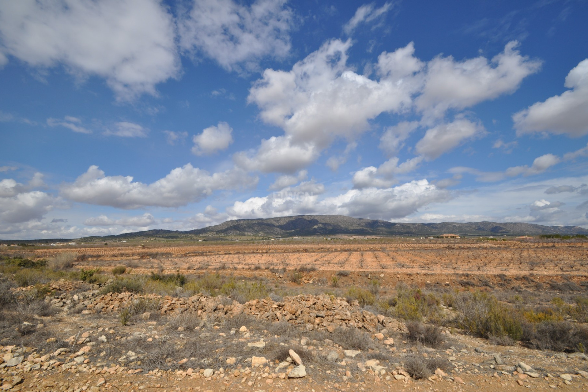 Resale - Plot / Land - Pinoso - Inland