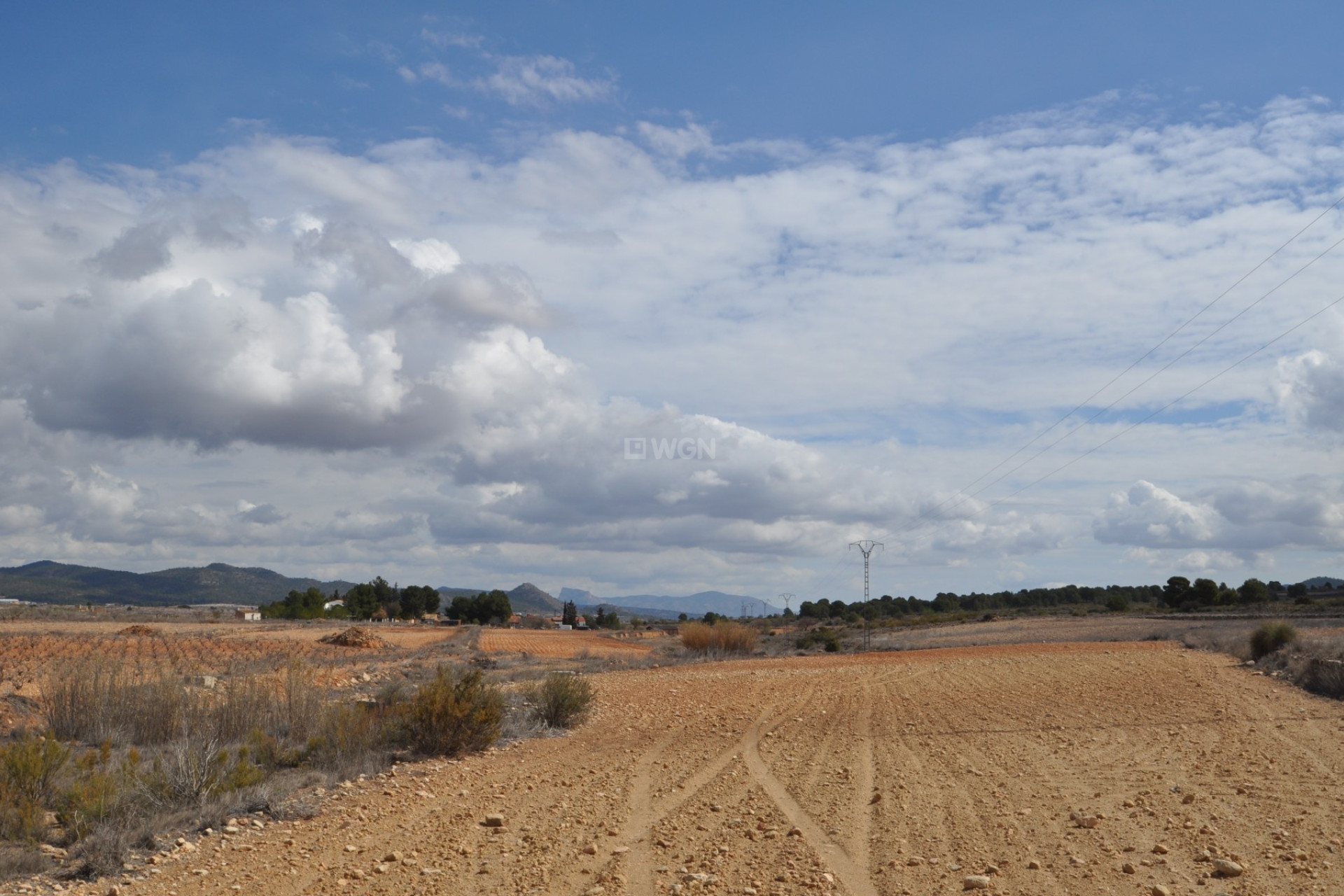 Resale - Plot / Land - Pinoso - Inland