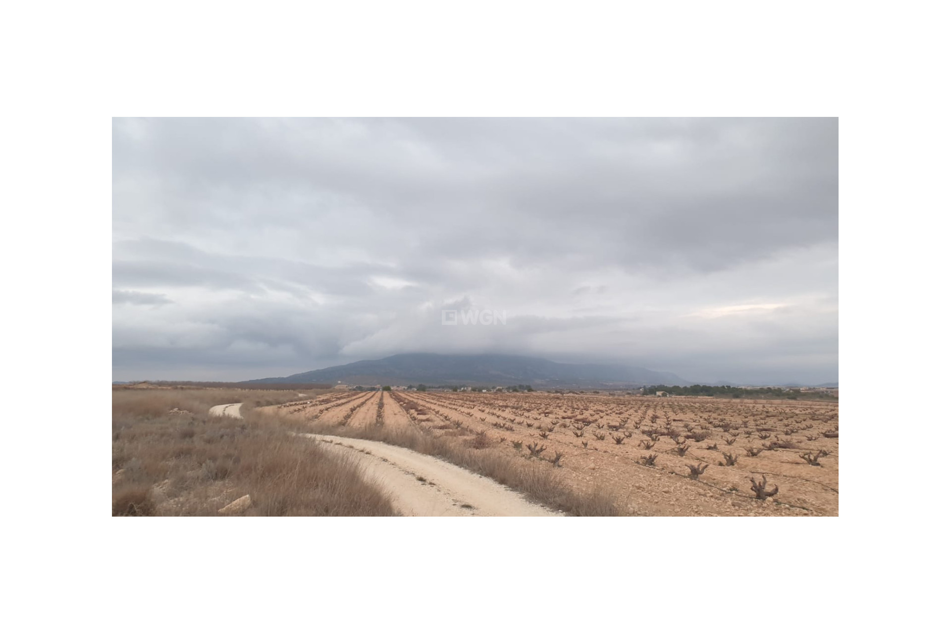 Resale - Plot / Land - Pinoso - Inland