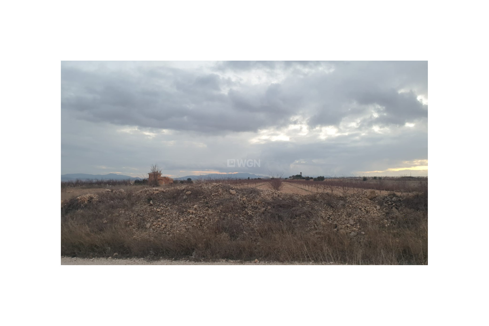 Resale - Plot / Land - Pinoso - Inland