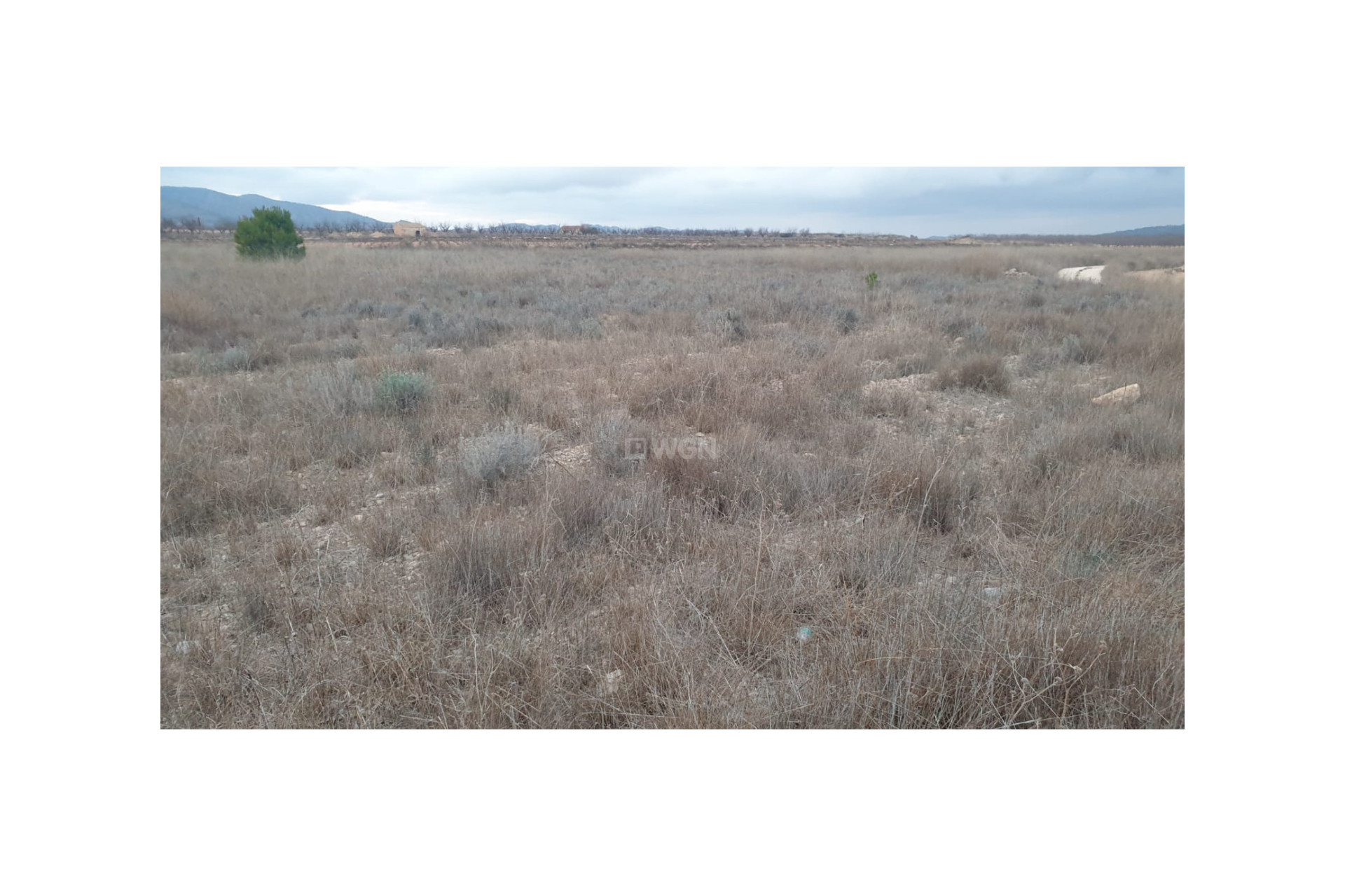 Resale - Plot / Land - Pinoso - Inland