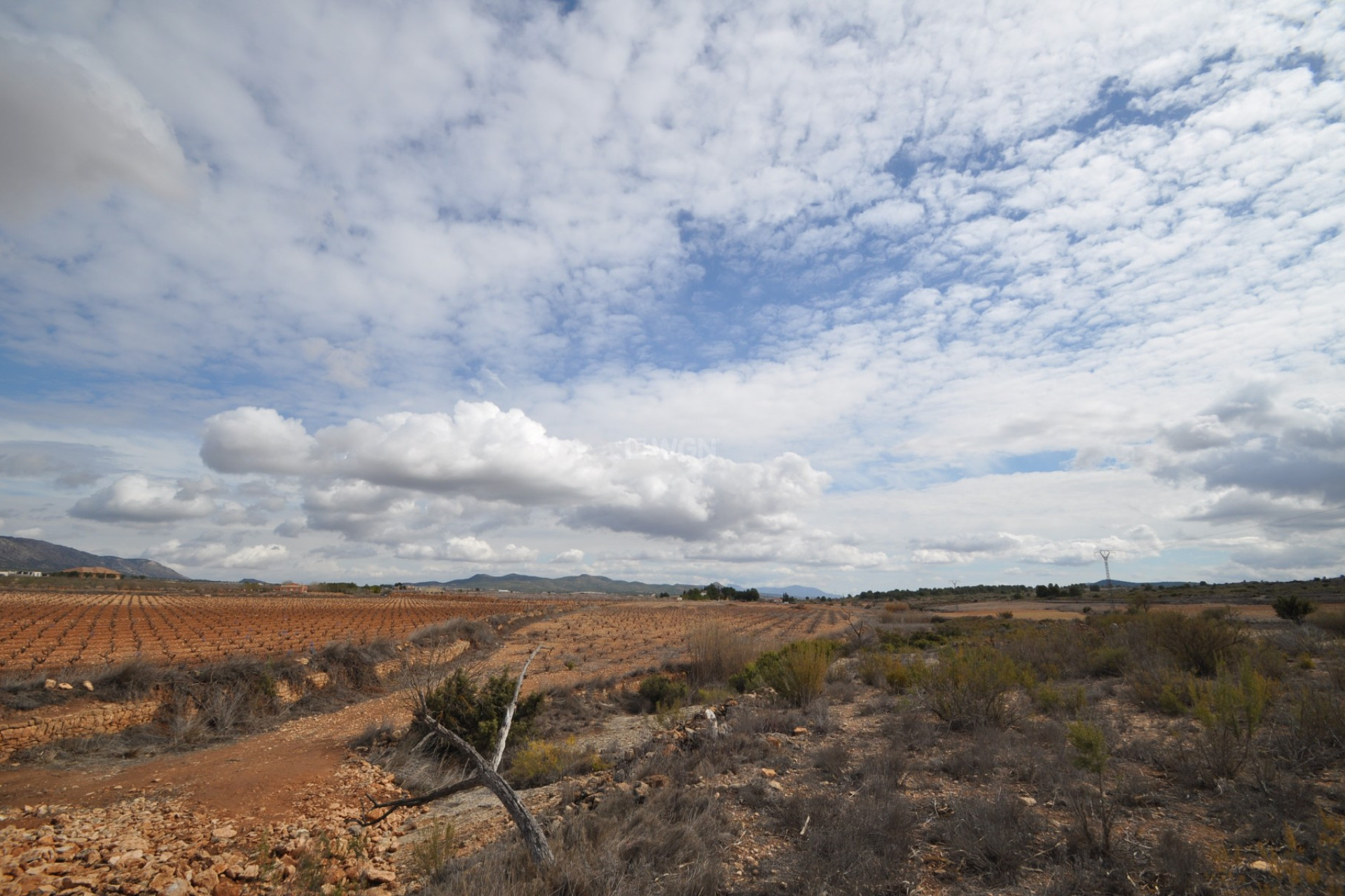 Resale - Plot / Land - Pinoso - Inland