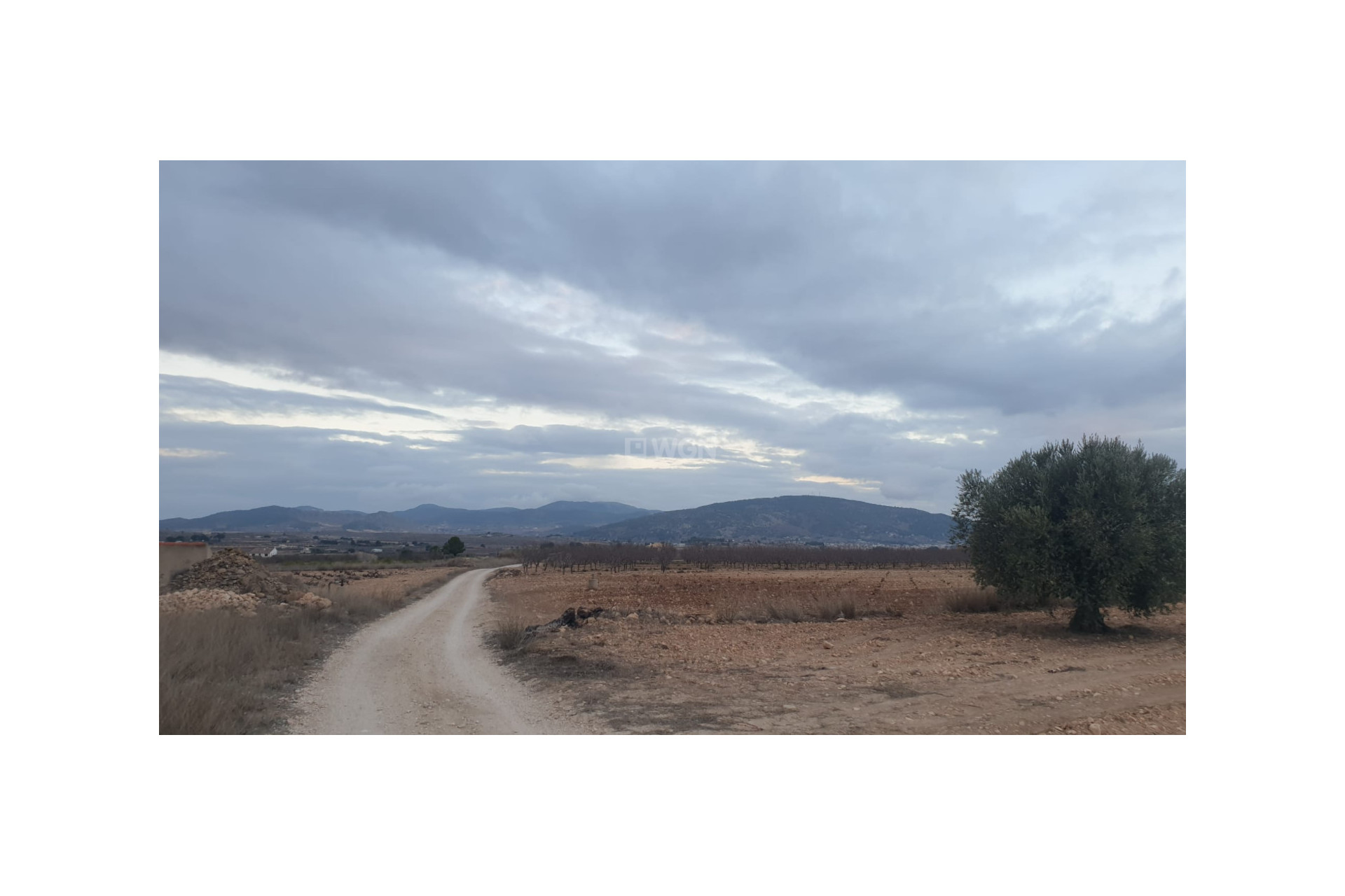 Resale - Plot / Land - Pinoso - Inland
