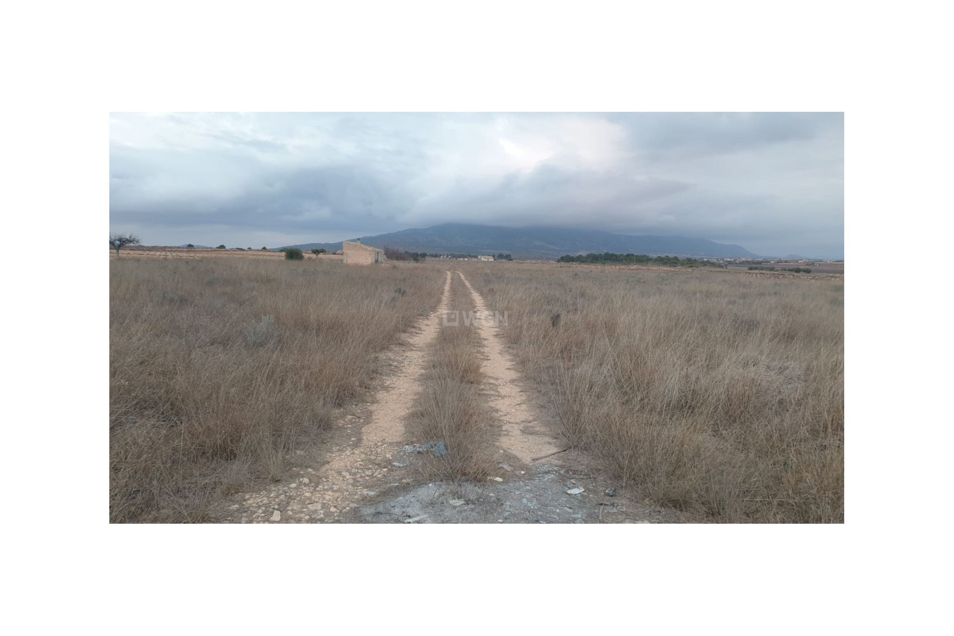Resale - Plot / Land - Pinoso - Inland