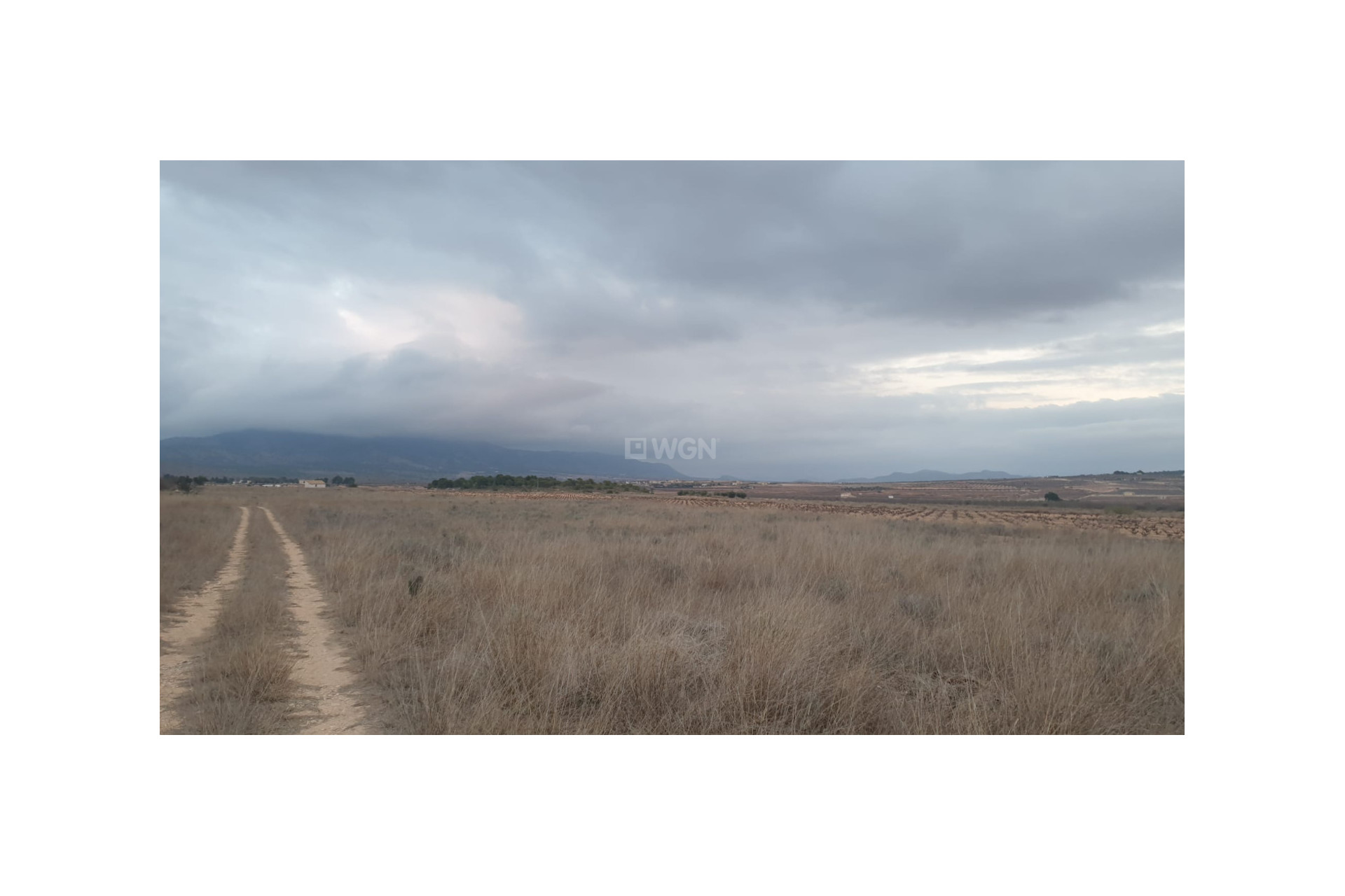 Resale - Plot / Land - Pinoso - Inland