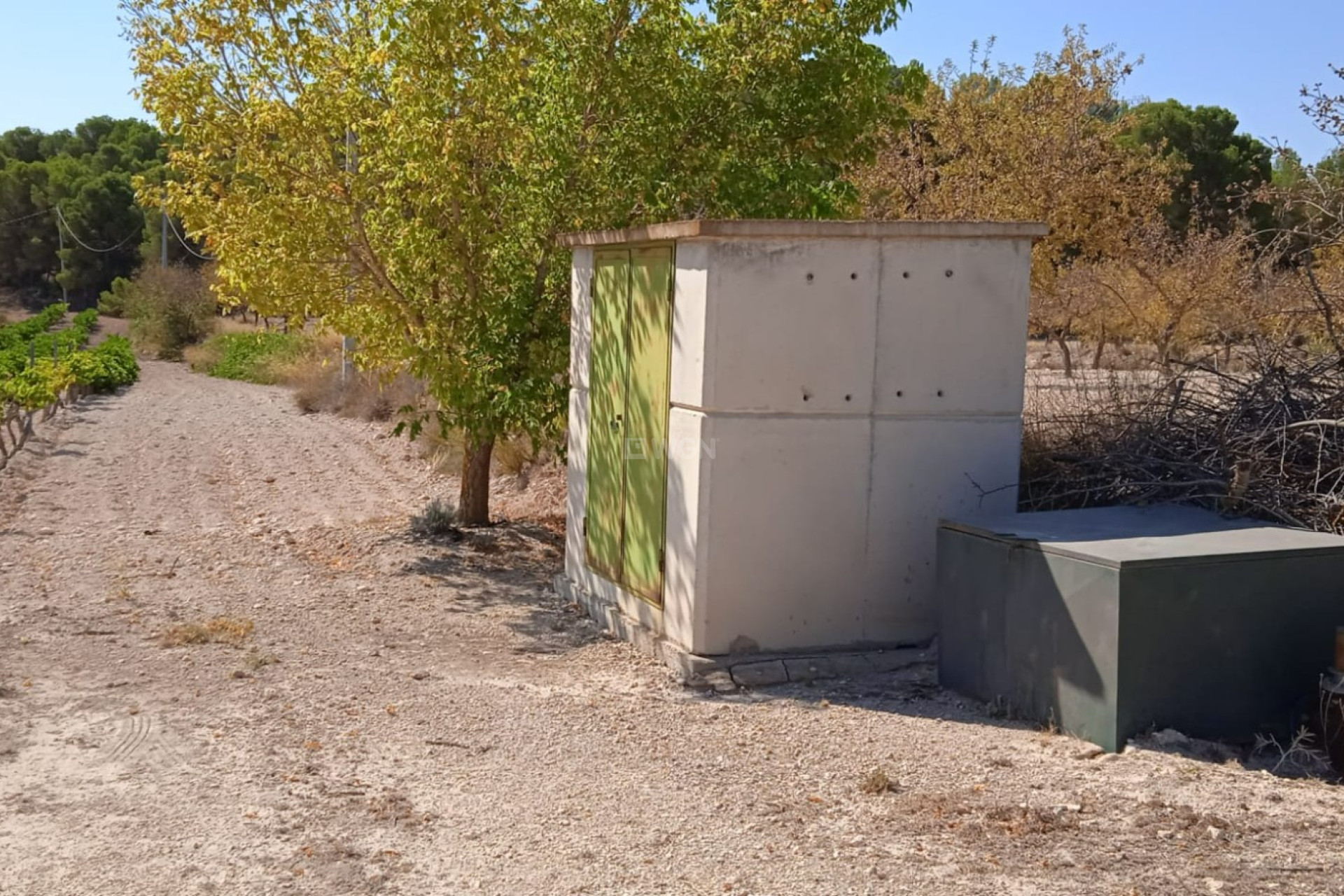 Resale - Plot / Land - Pinoso - Inland