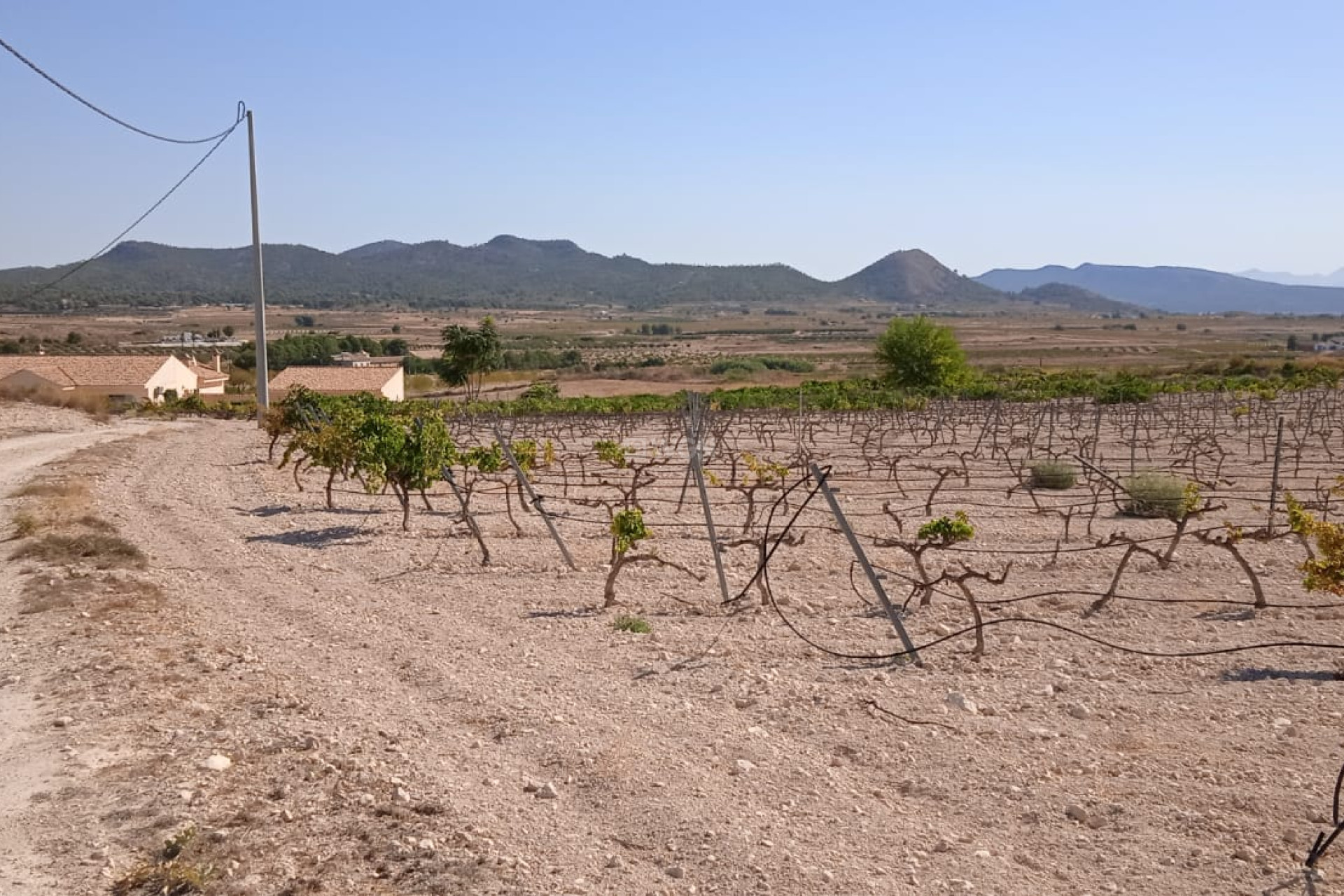 Resale - Plot / Land - Pinoso - Inland