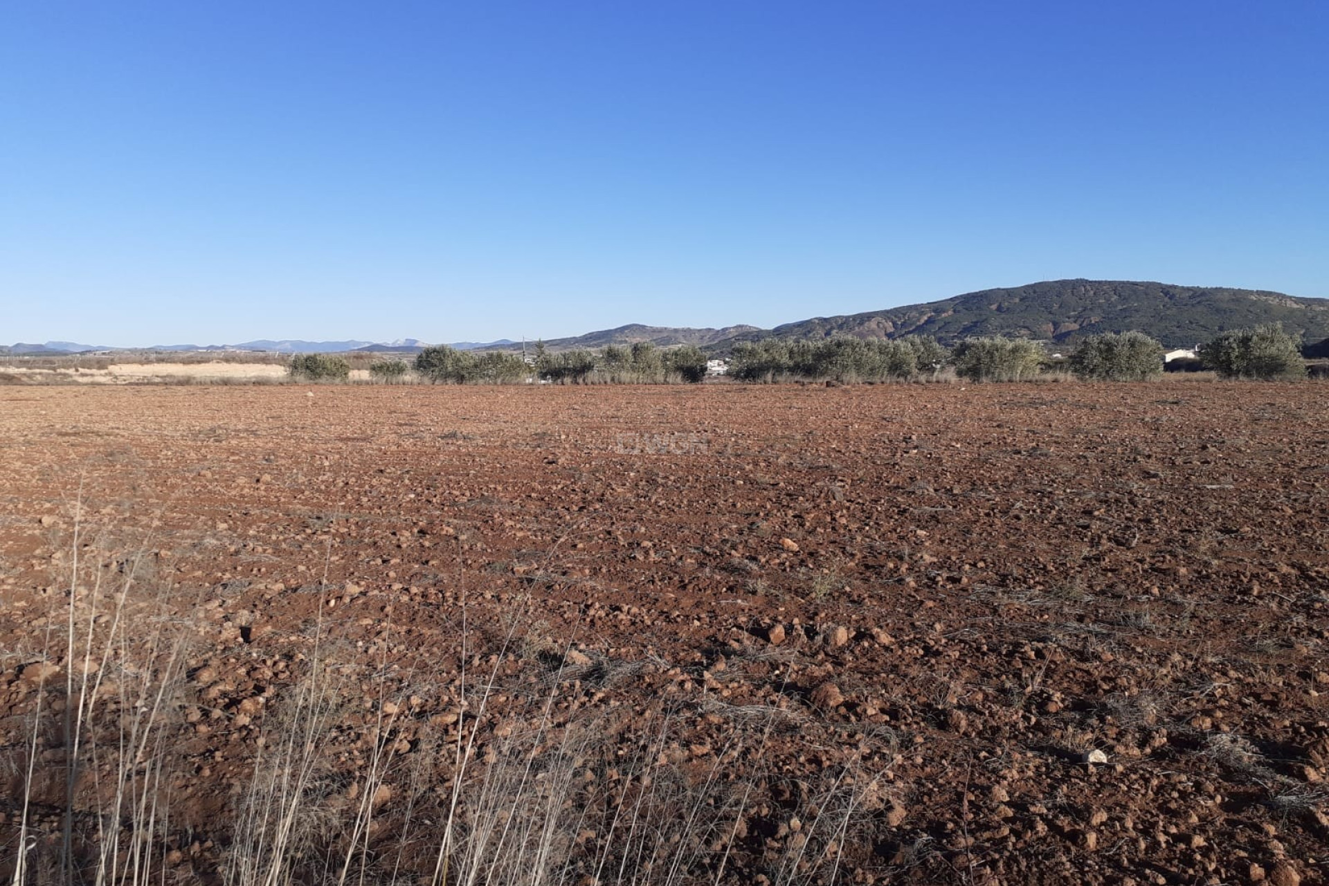 Resale - Plot / Land - Pinoso - Inland