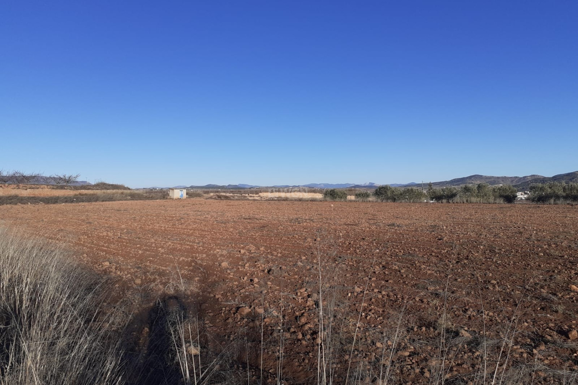 Resale - Plot / Land - Pinoso - Inland
