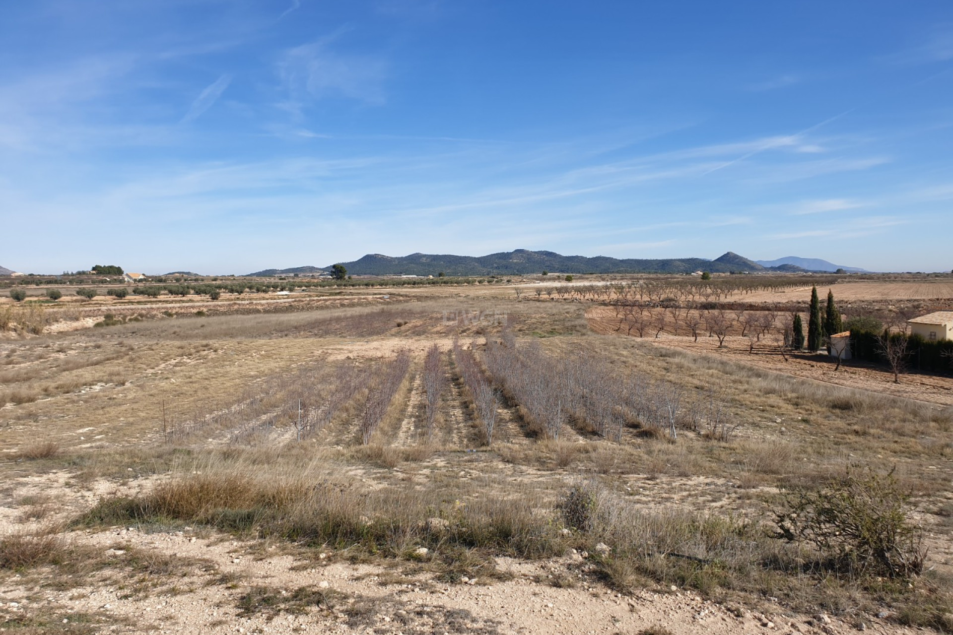 Resale - Plot / Land - Pinoso - Inland