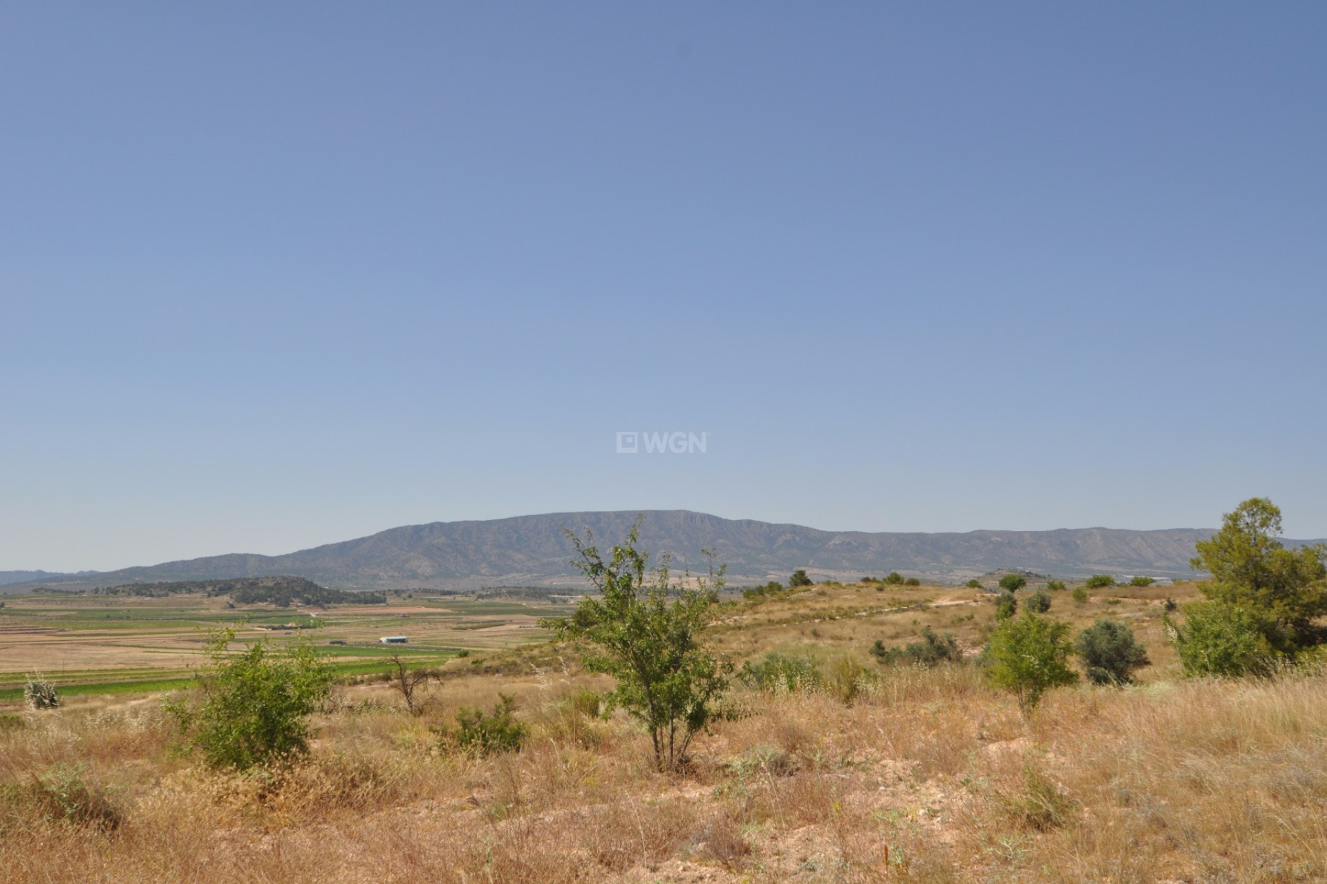 Resale - Plot / Land - Pinoso - Inland