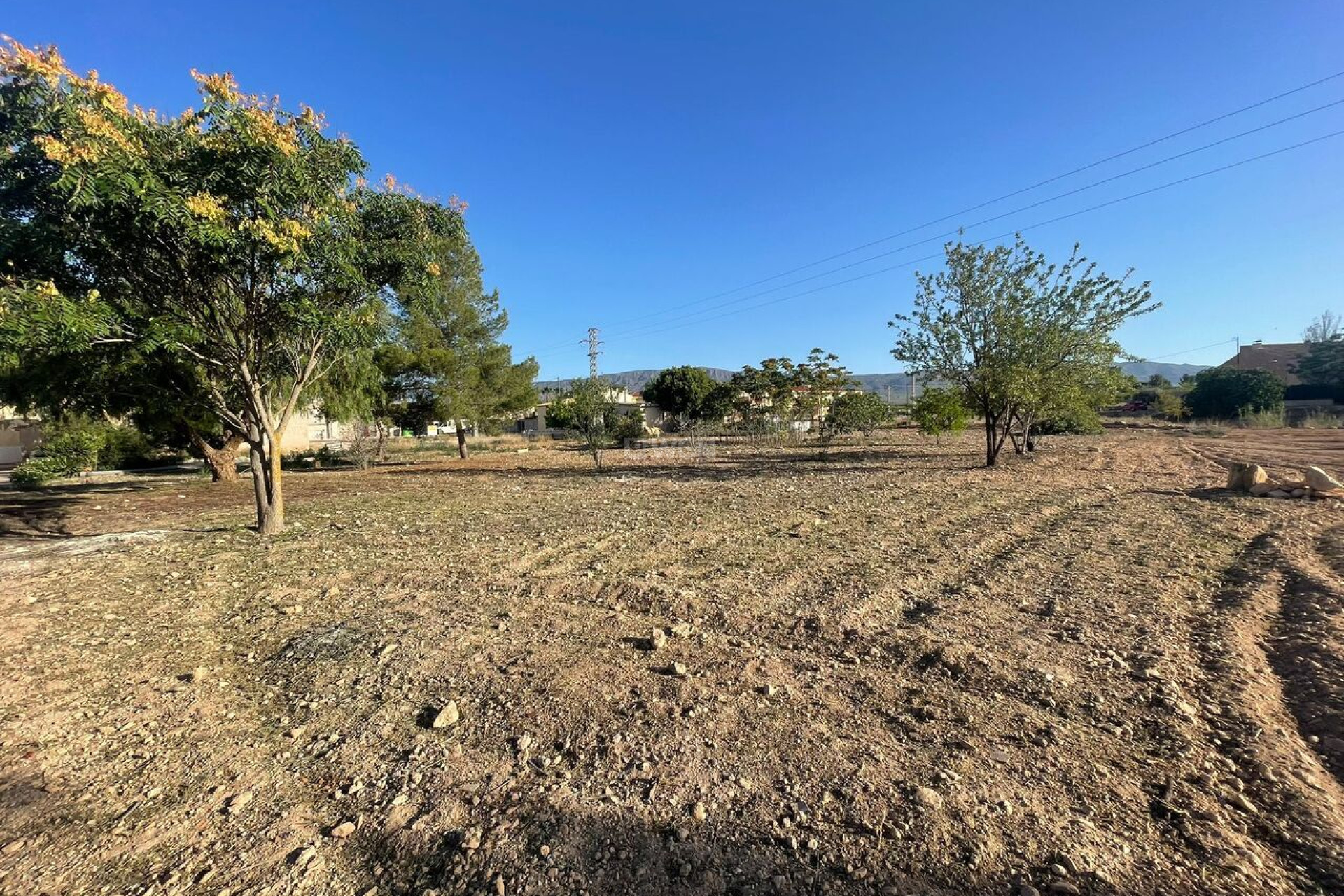 Resale - Plot / Land - Pinoso - Inland