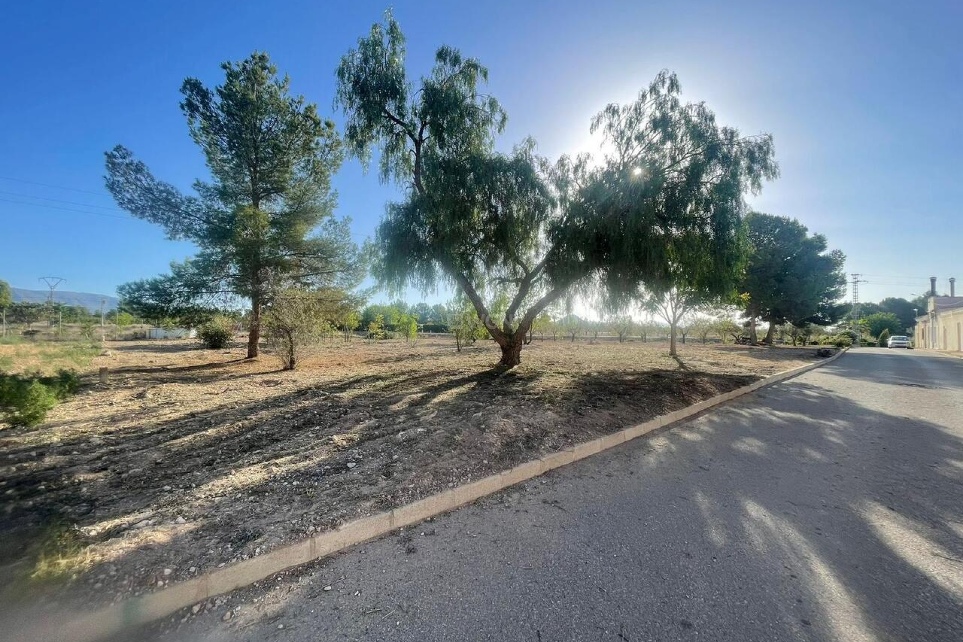 Resale - Plot / Land - Pinoso - Inland