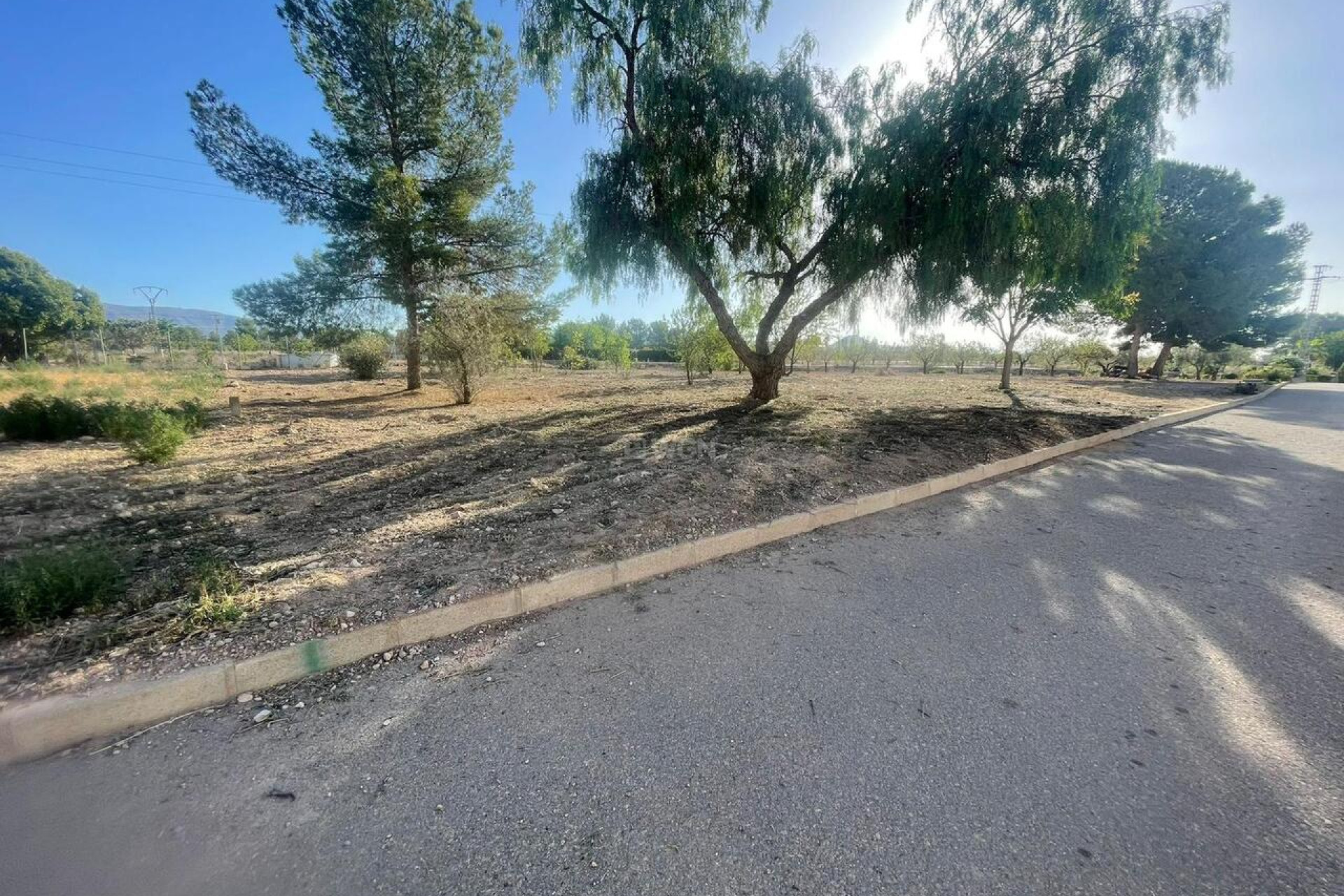 Resale - Plot / Land - Pinoso - Inland