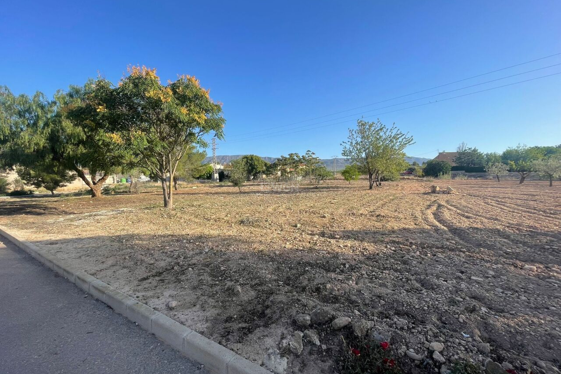 Resale - Plot / Land - Pinoso - Inland