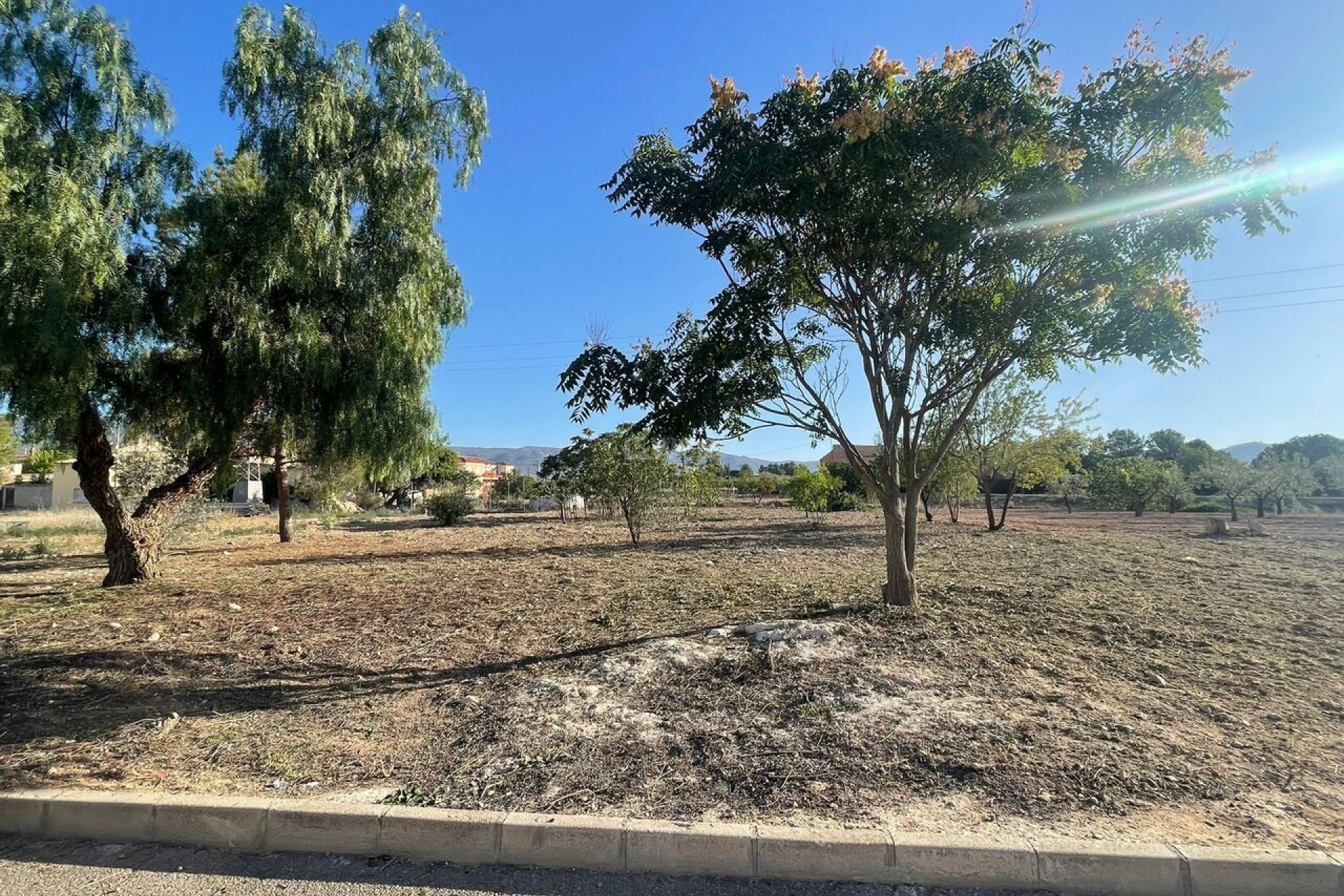 Resale - Plot / Land - Pinoso - Inland