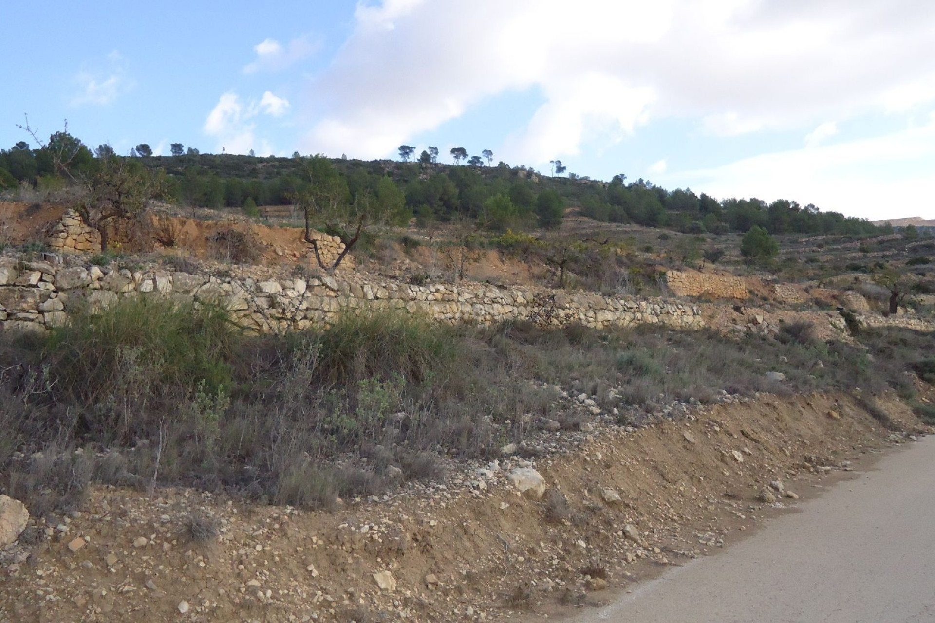 Resale - Plot / Land - Pinoso - Inland