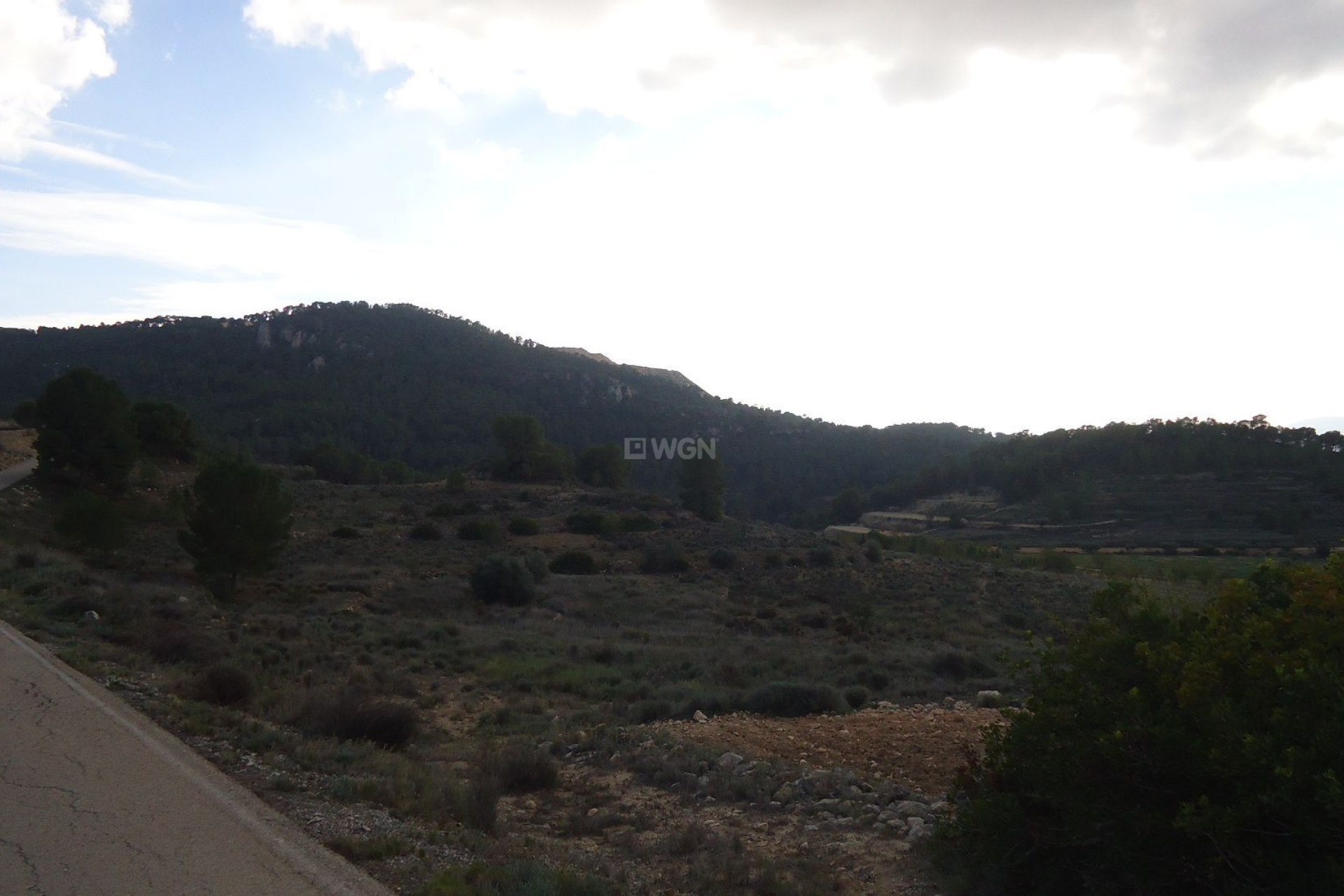 Resale - Plot / Land - Pinoso - Inland