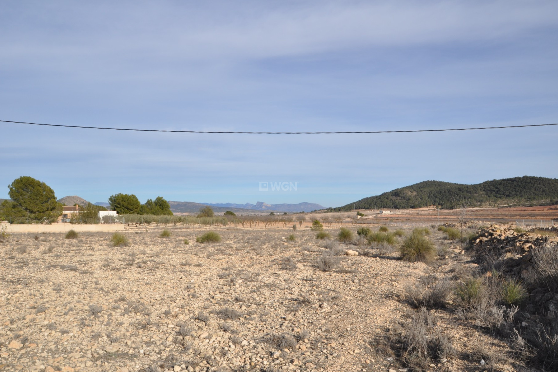 Resale - Plot / Land - Pinoso - Inland
