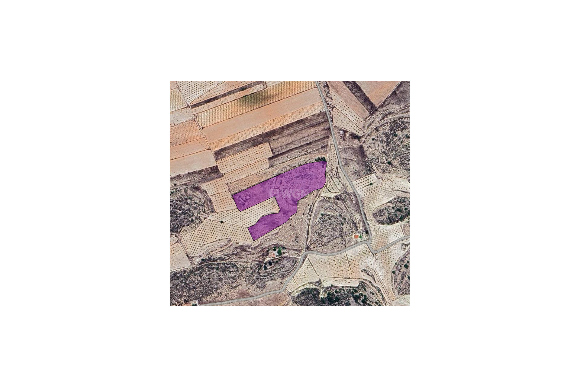 Resale - Plot / Land - Pinoso - Inland