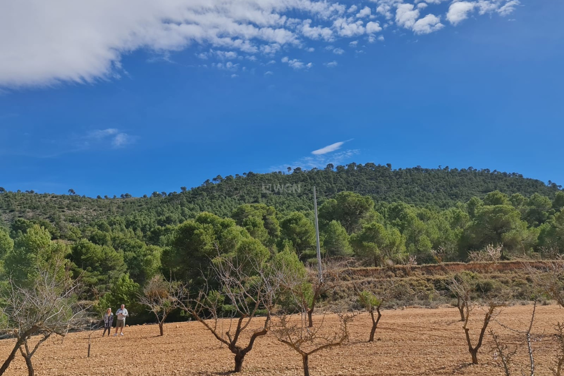 Resale - Plot / Land - Pinoso - Inland