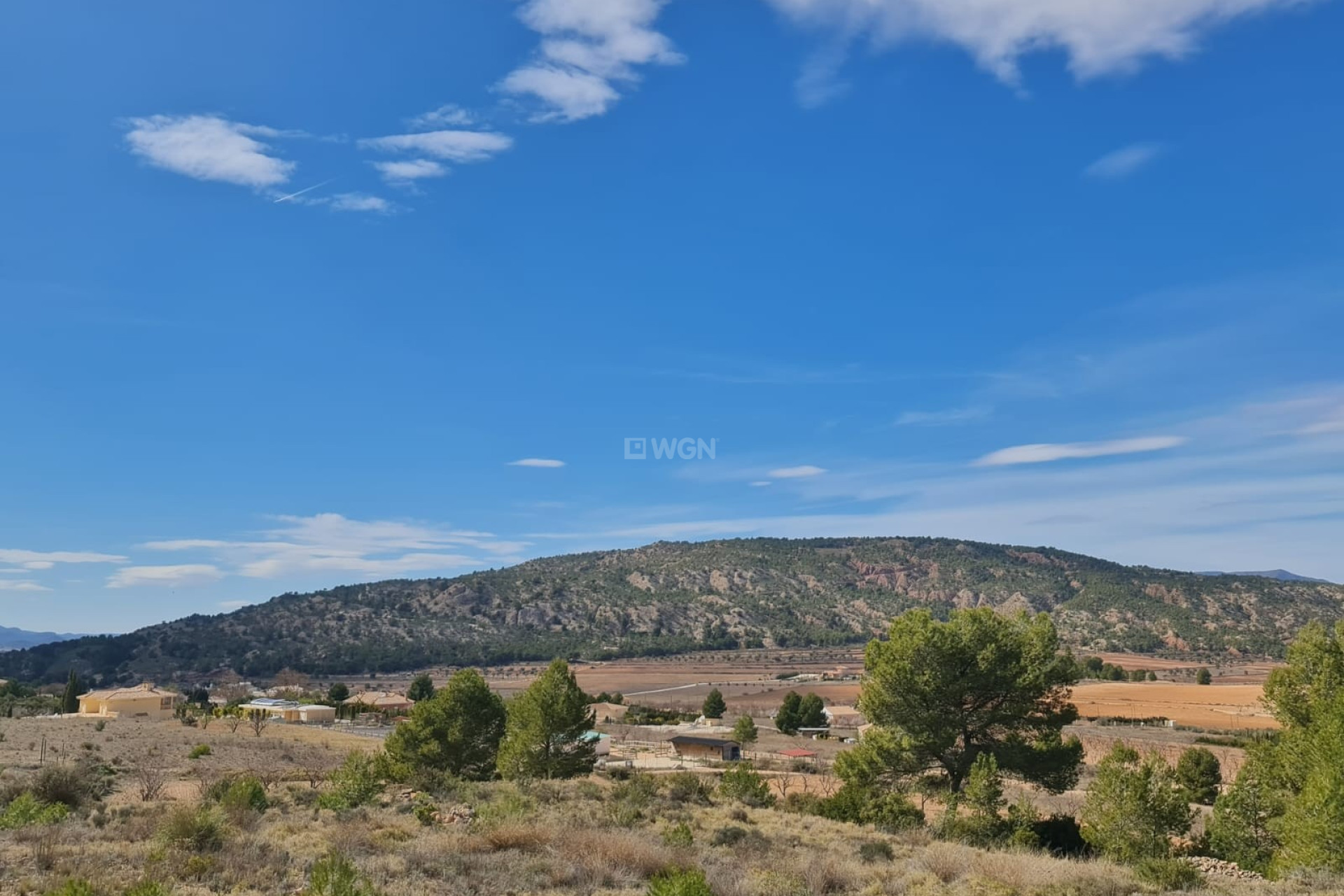 Resale - Plot / Land - Pinoso - Inland