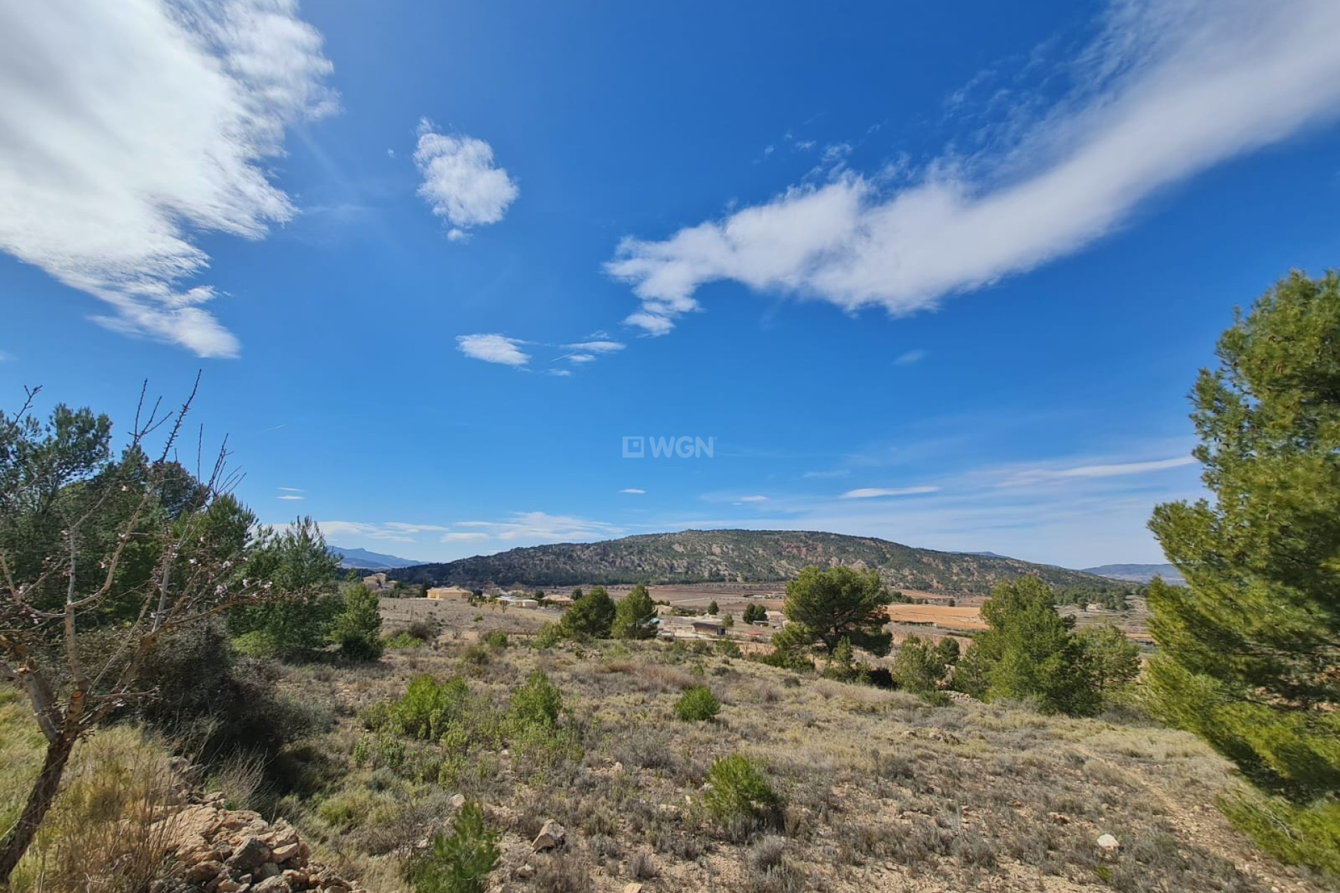 Resale - Plot / Land - Pinoso - Inland