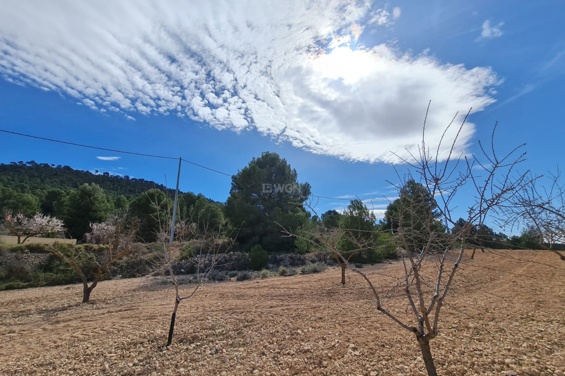 Resale - Plot / Land - Pinoso - Inland