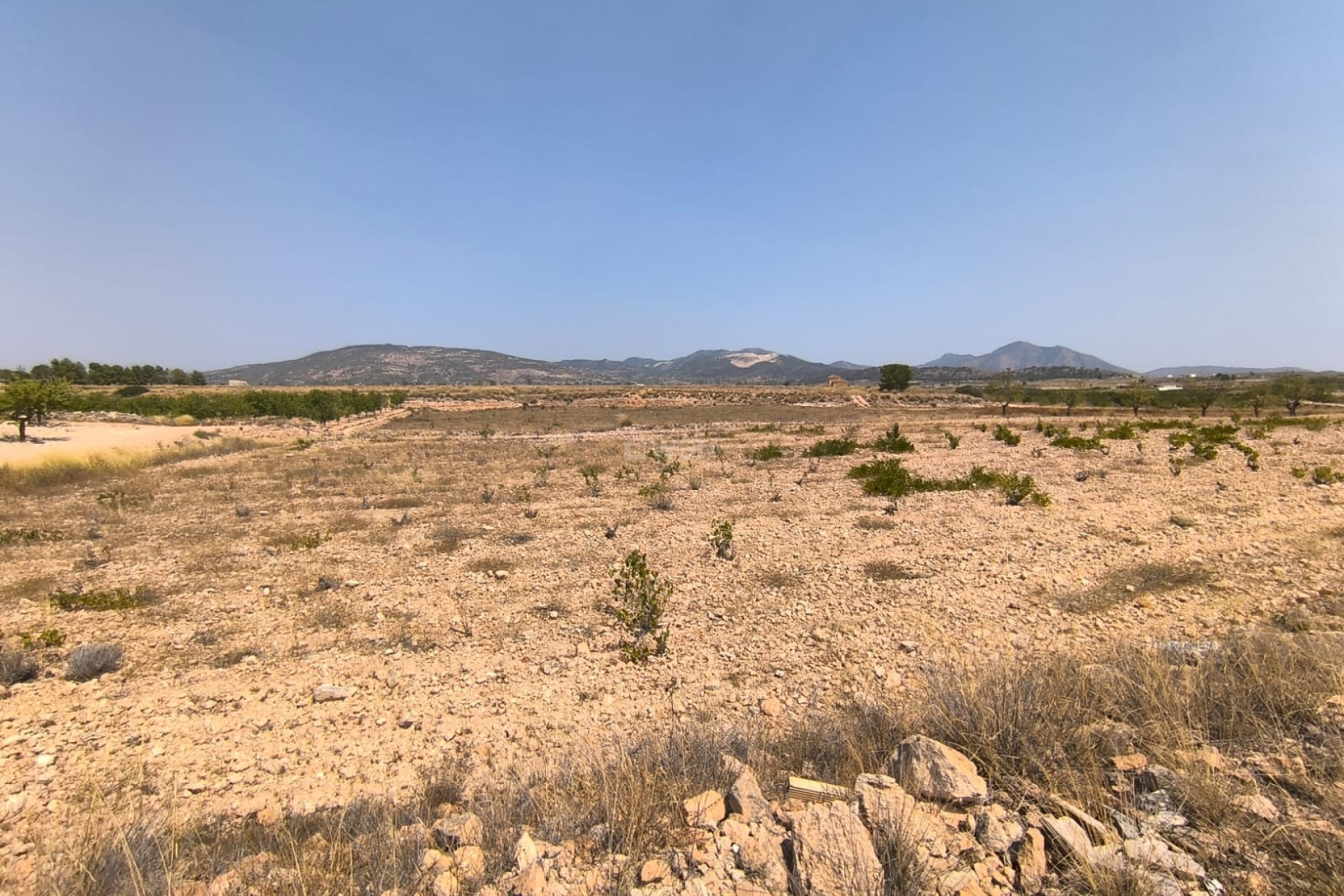 Resale - Plot / Land - Pinoso - Inland