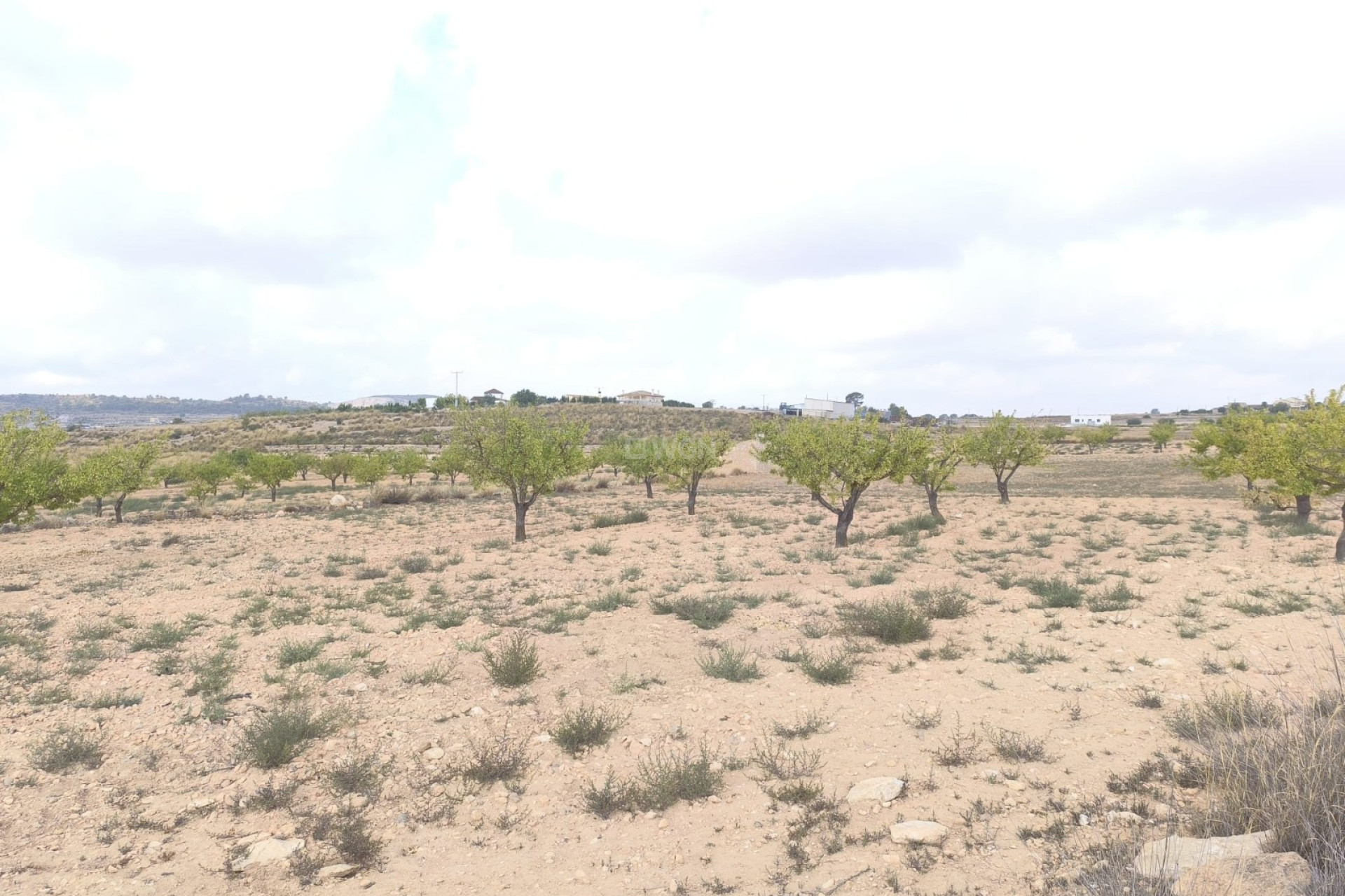 Resale - Plot / Land - Pinoso - Inland