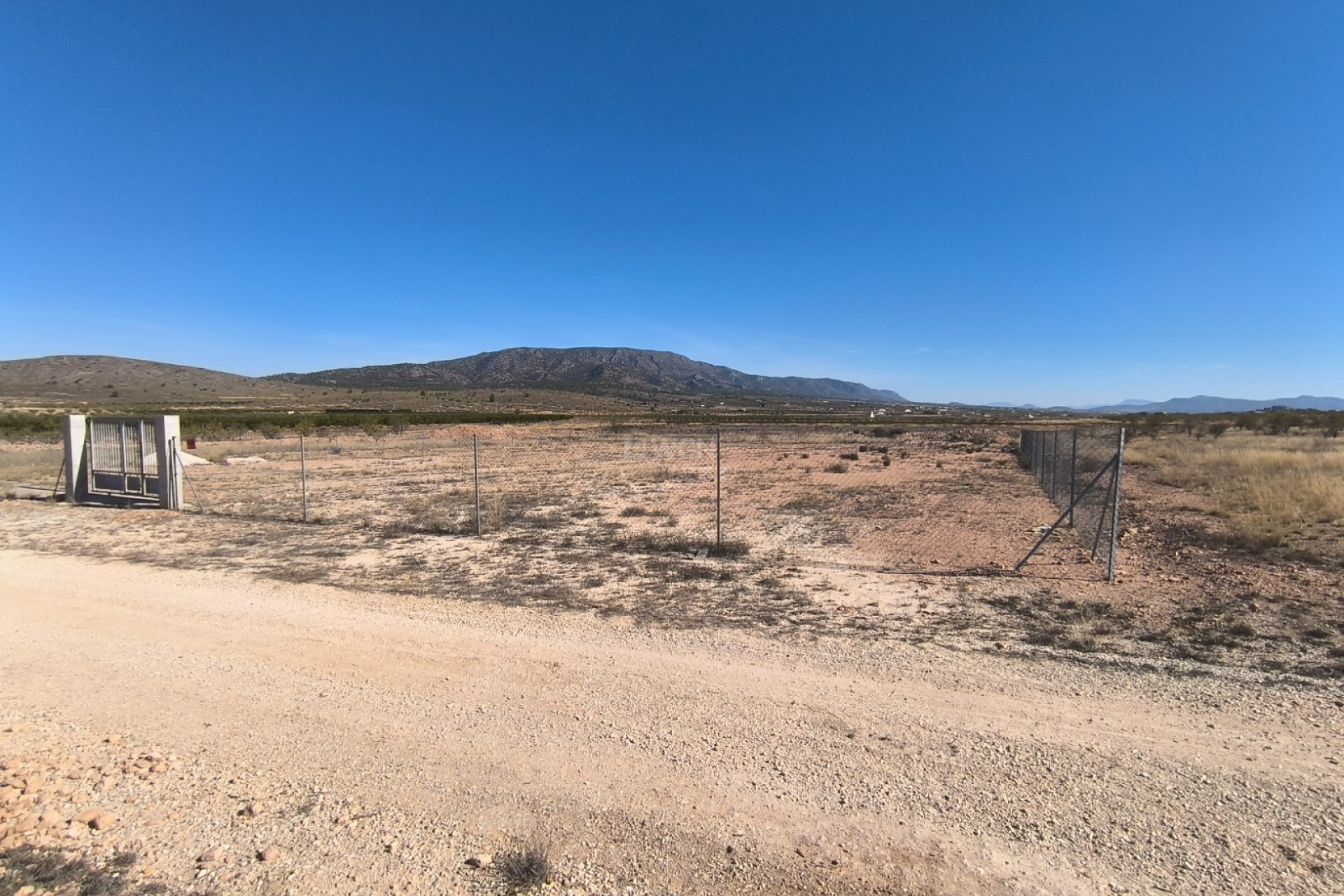 Resale - Plot / Land - Pinoso - Inland