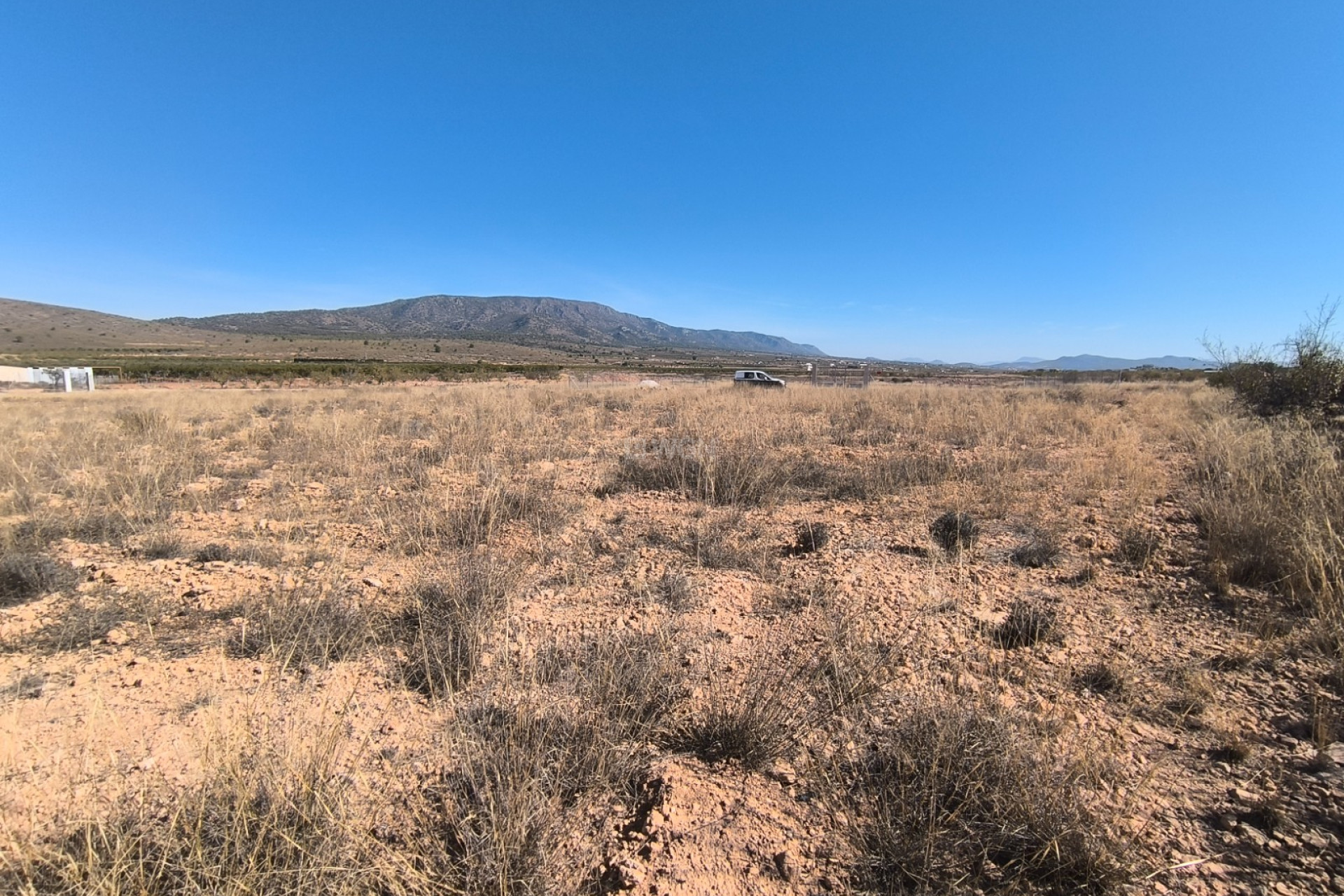 Resale - Plot / Land - Pinoso - Inland