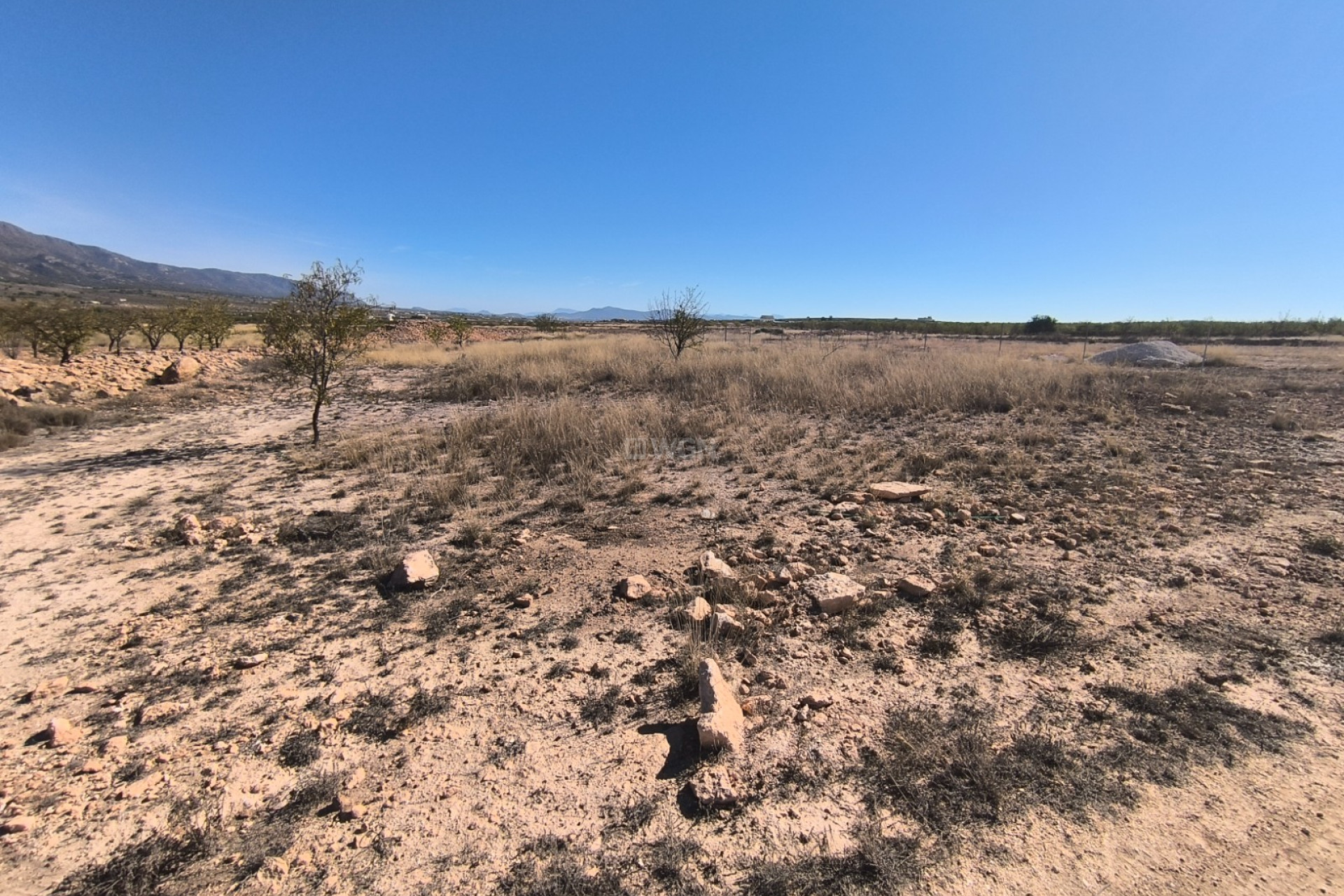 Resale - Plot / Land - Pinoso - Inland