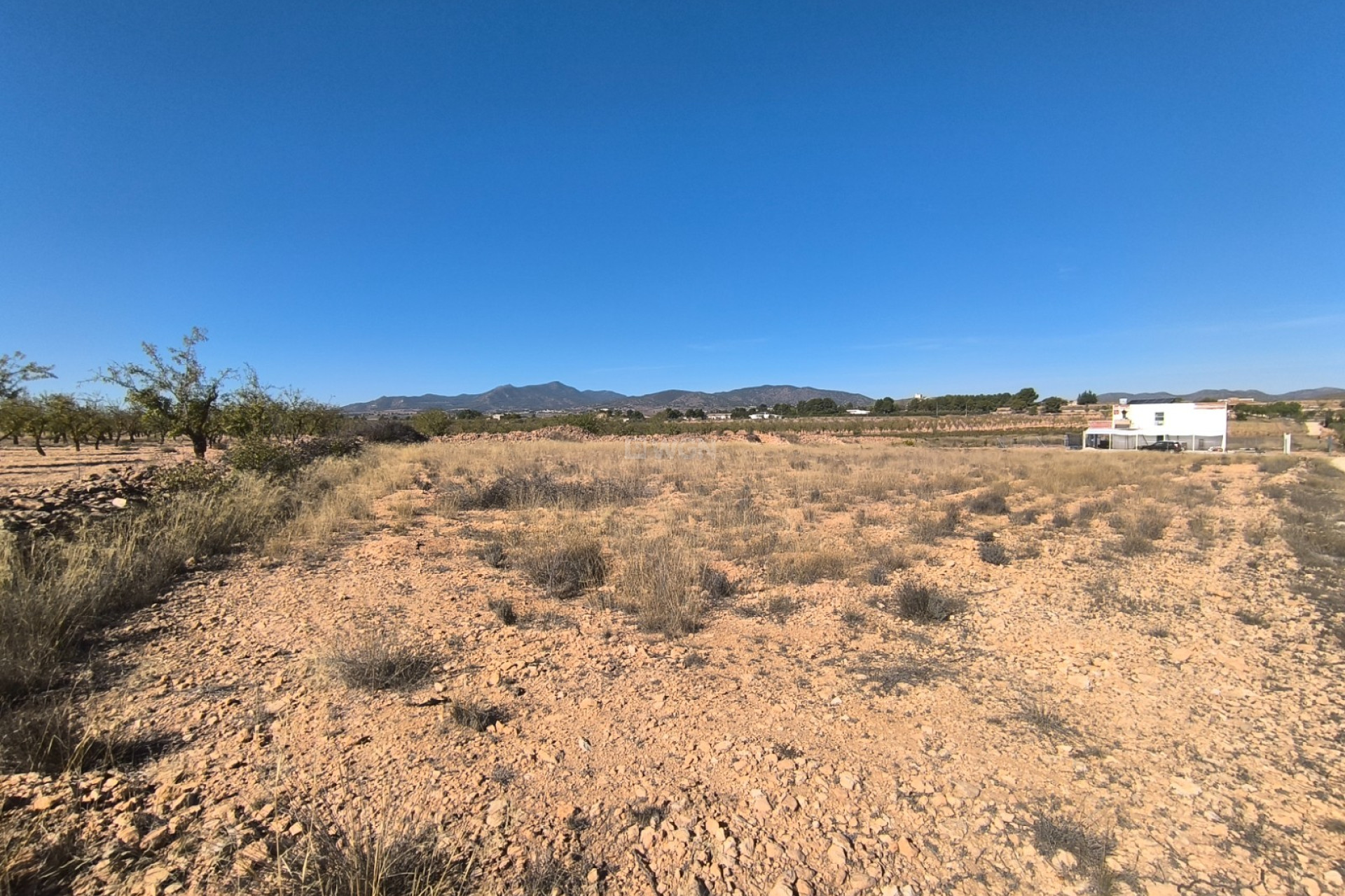 Resale - Plot / Land - Pinoso - Inland
