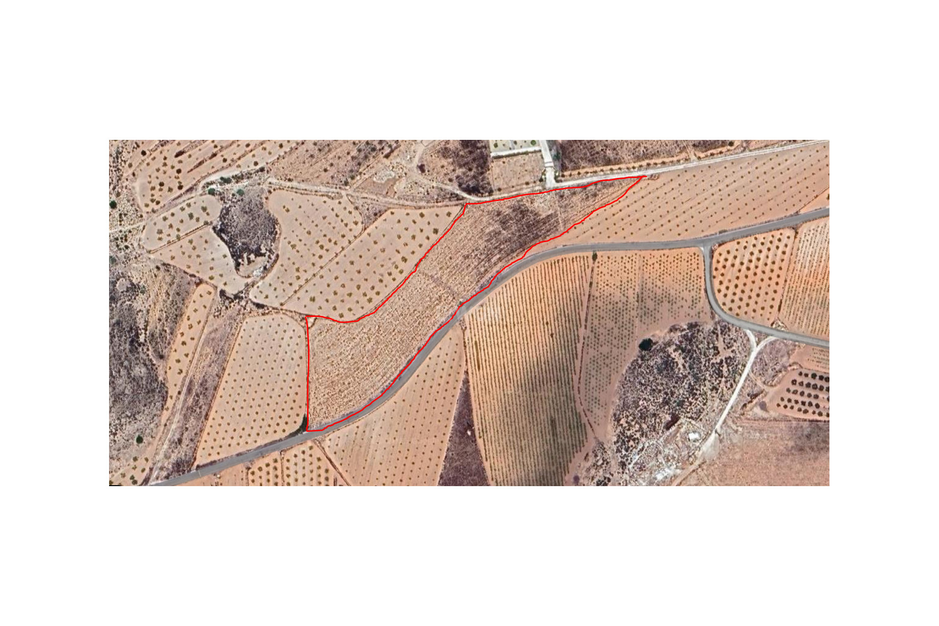 Resale - Plot / Land - Pinoso - Inland