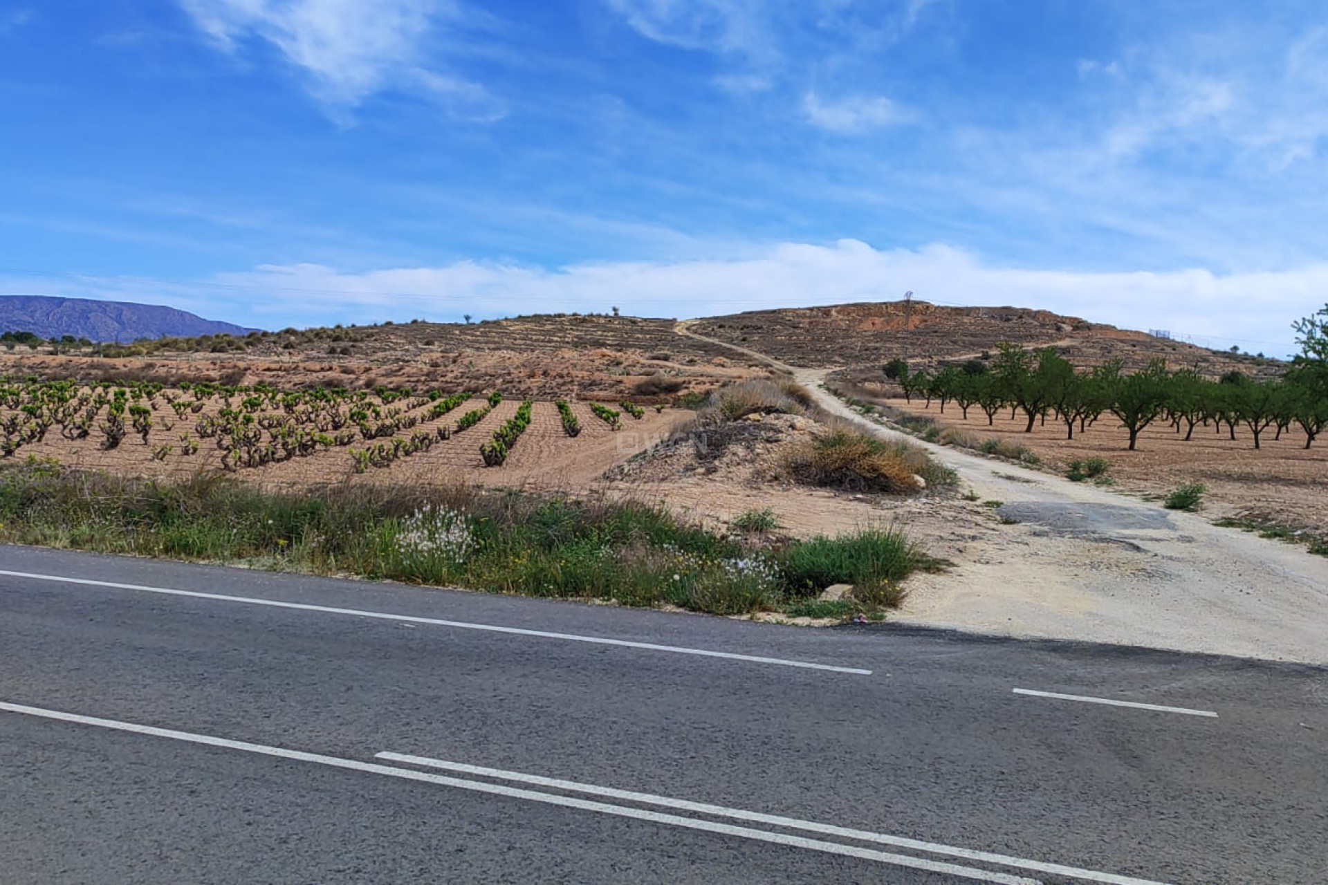 Resale - Plot / Land - Pinoso - Inland