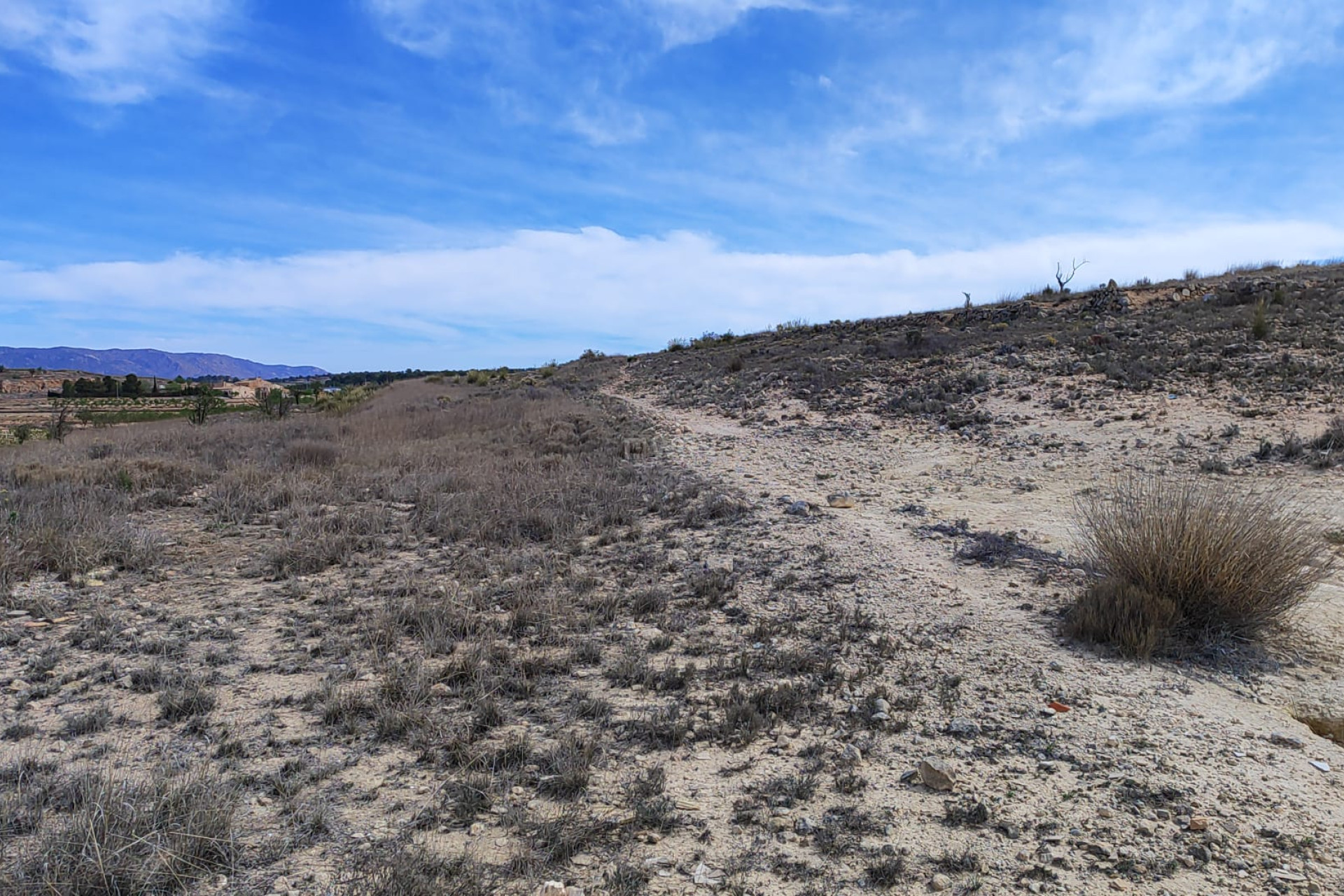 Resale - Plot / Land - Pinoso - Inland