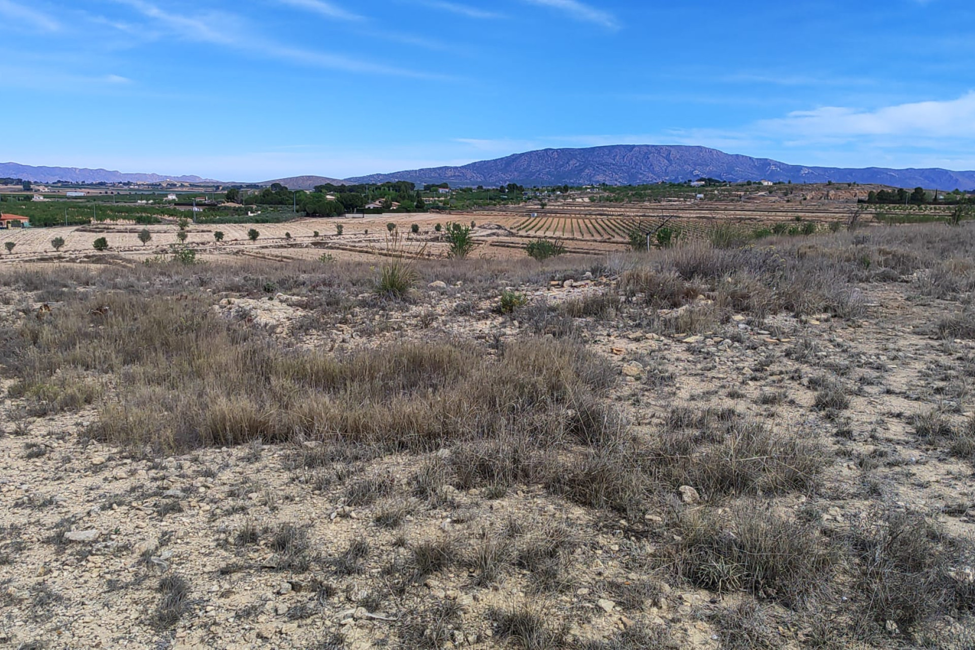 Resale - Plot / Land - Pinoso - Inland