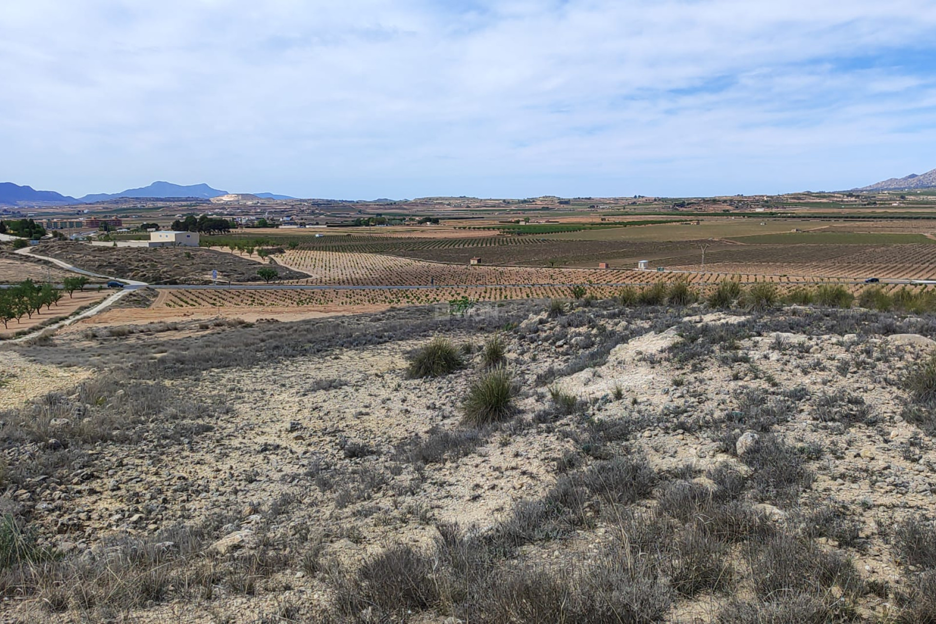 Resale - Plot / Land - Pinoso - Inland