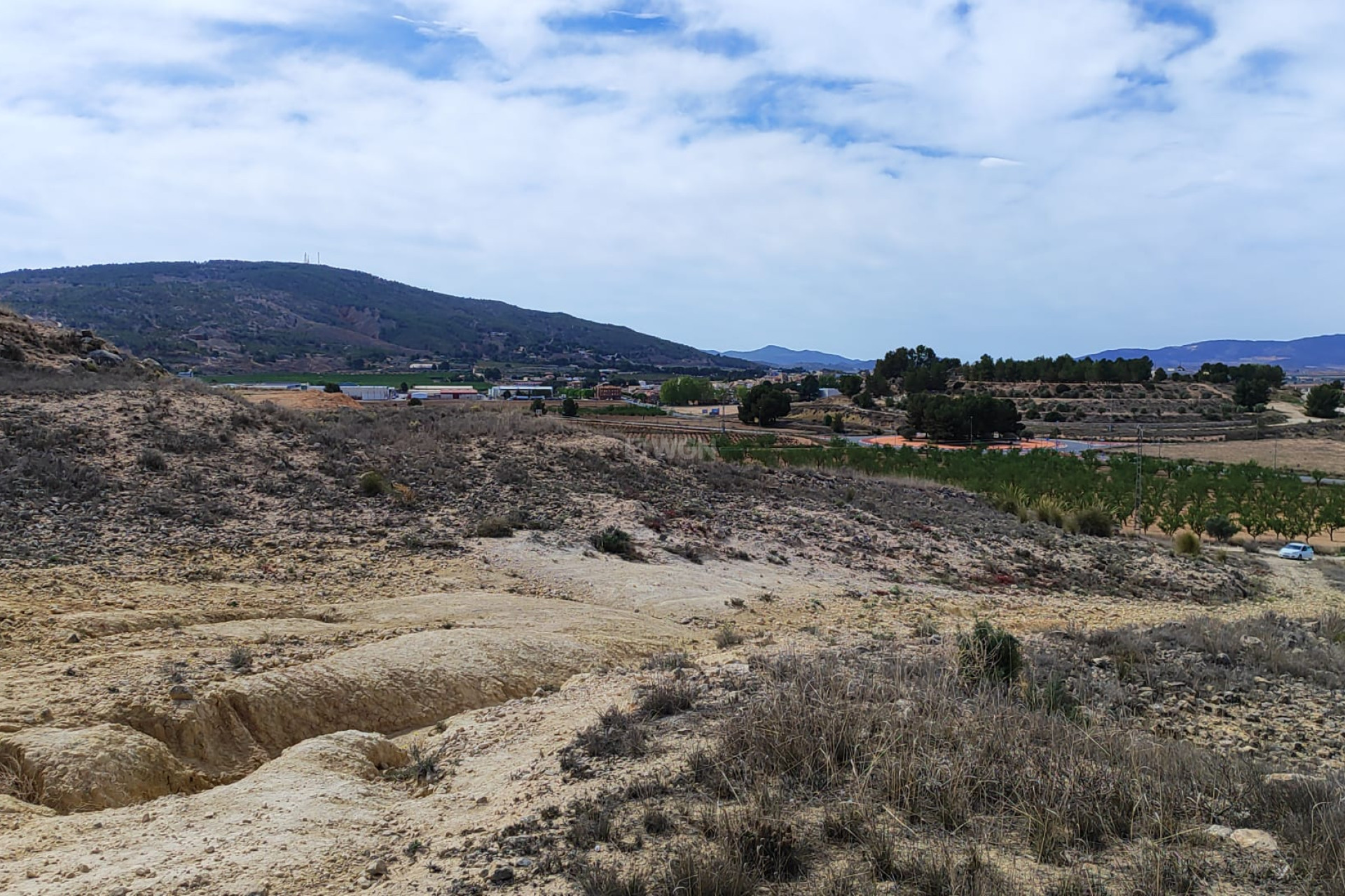 Resale - Plot / Land - Pinoso - Inland