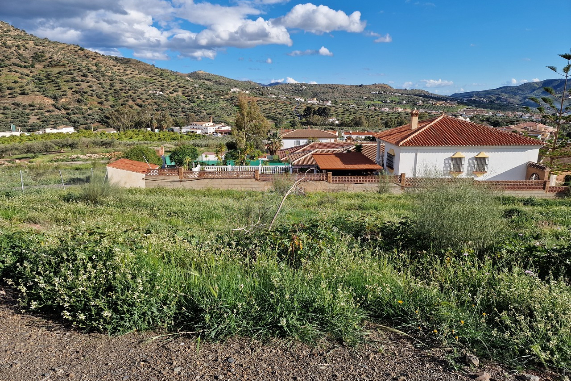 Resale - Plot / Land - Puente De Don Manuel - Inland
