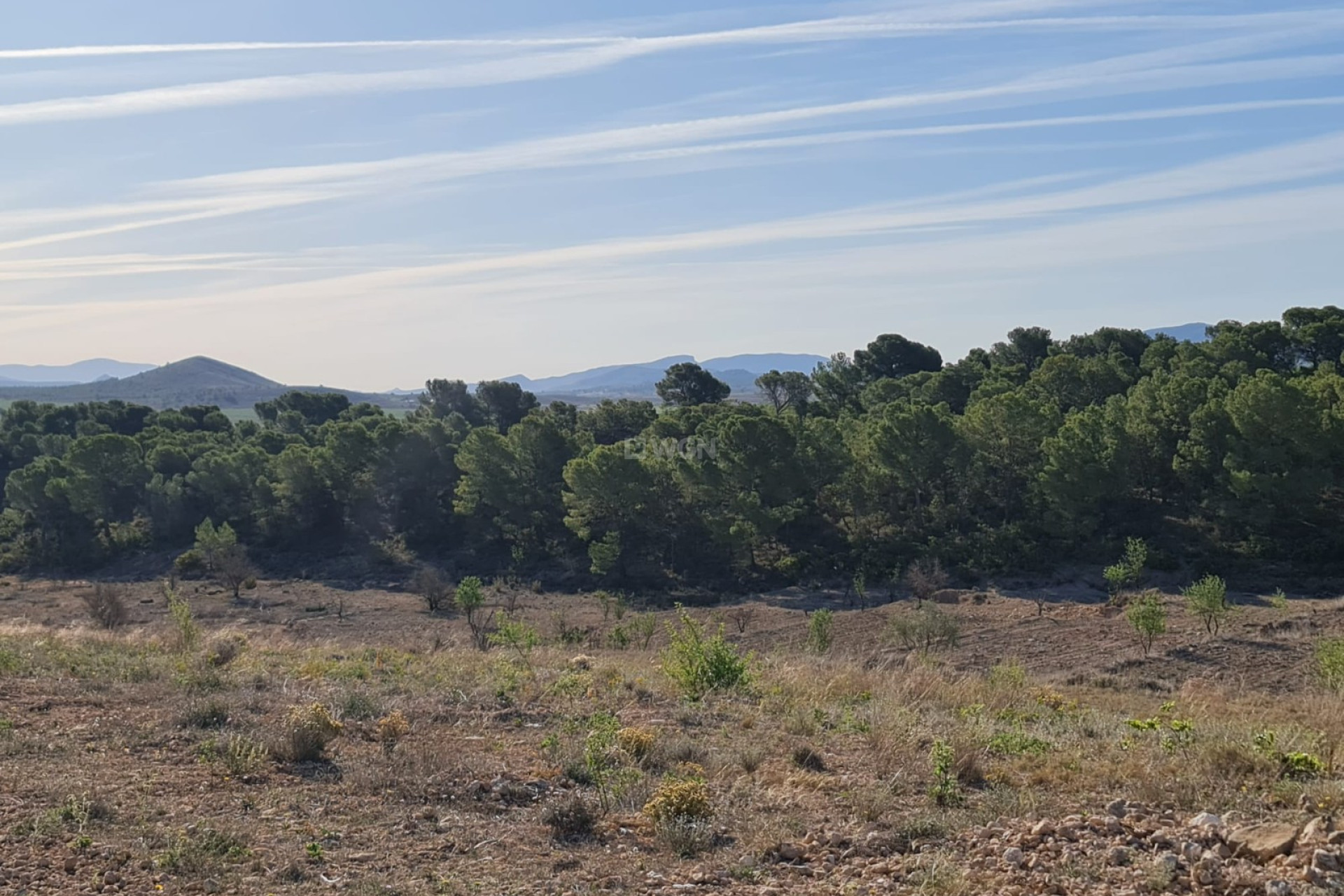 Resale - Plot / Land - Raspay - Inland